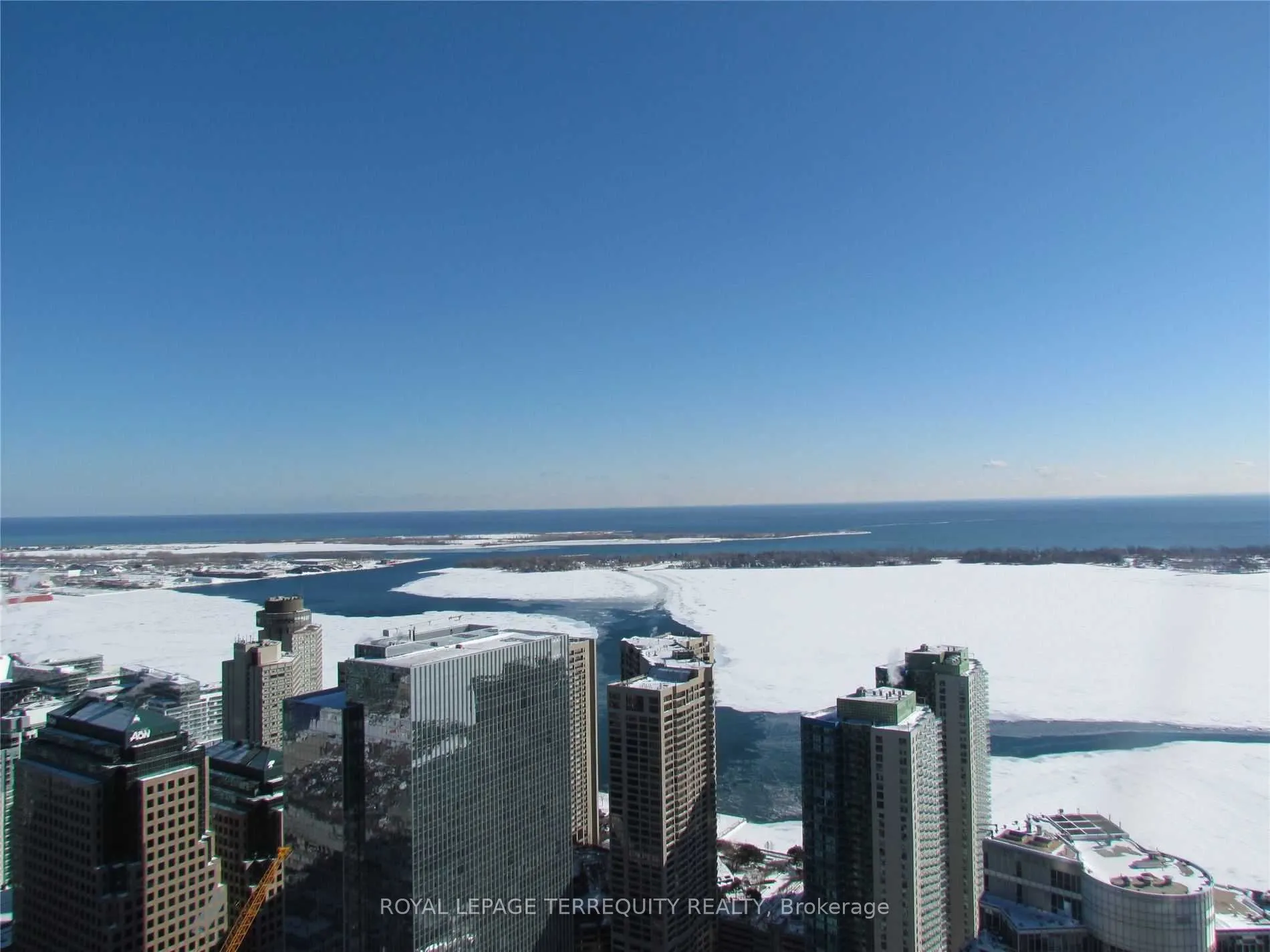 12 York Street, #5310