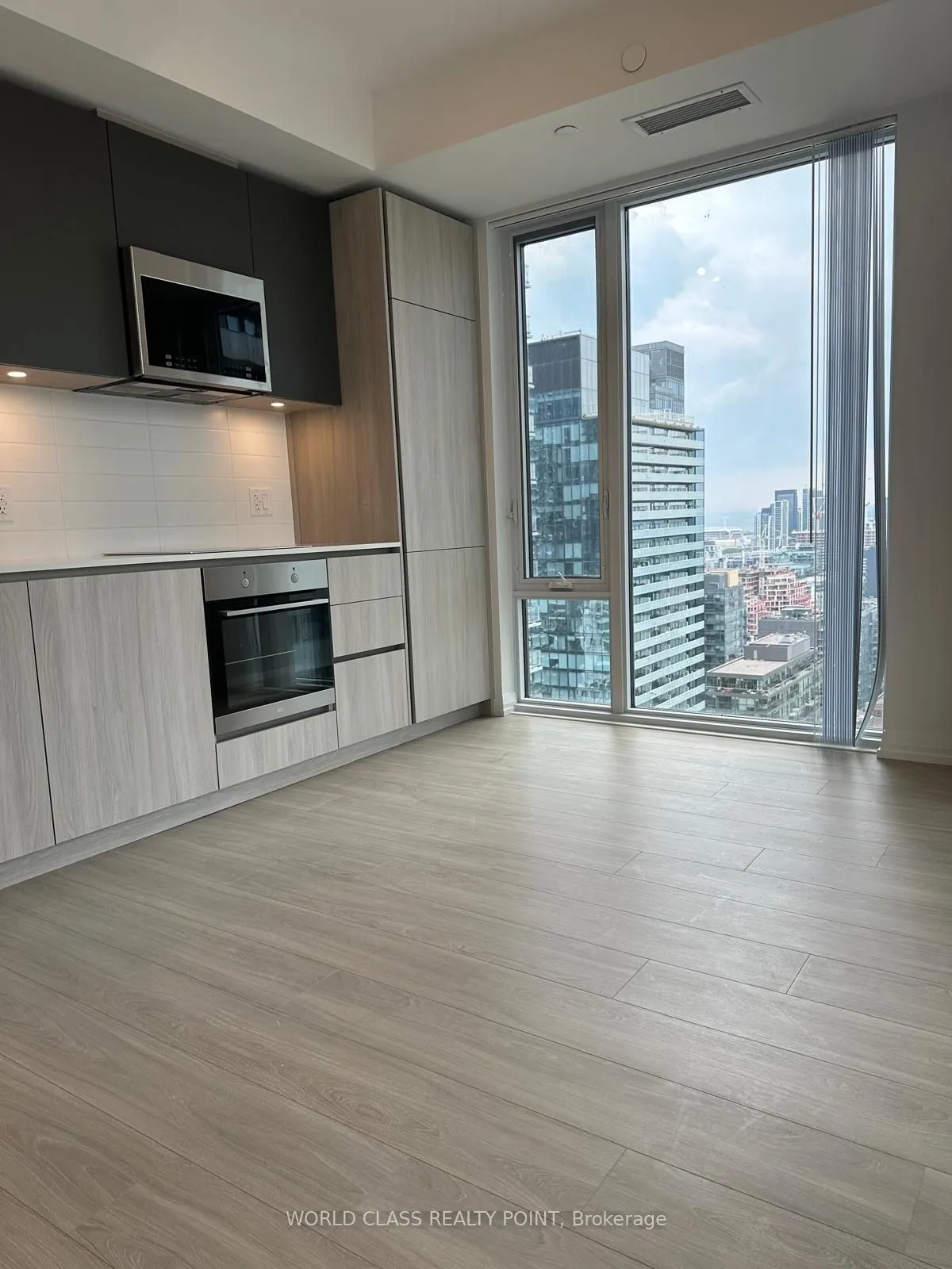28 Widmer Street, #3025
