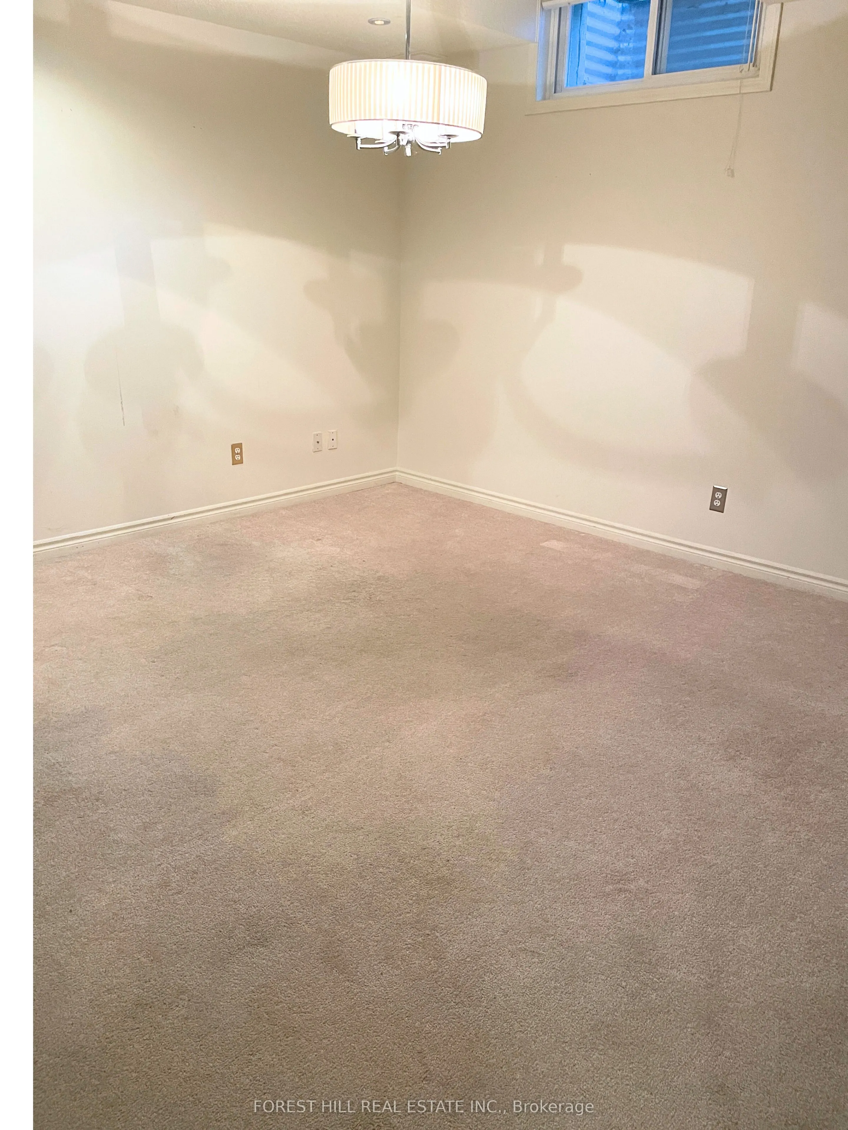 11 Everson Drive, #604 Basement