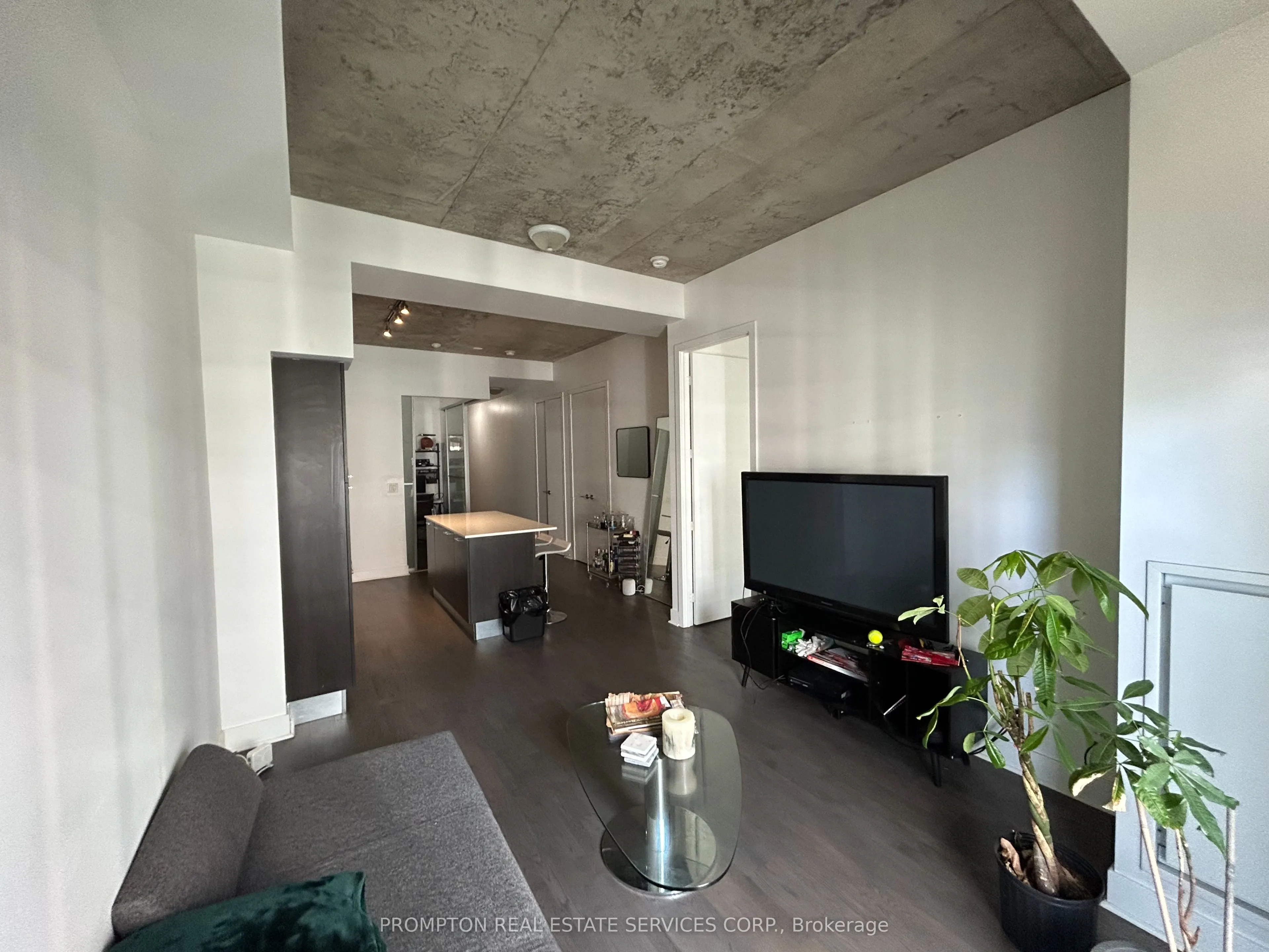 399 Adelaide Street W, #517