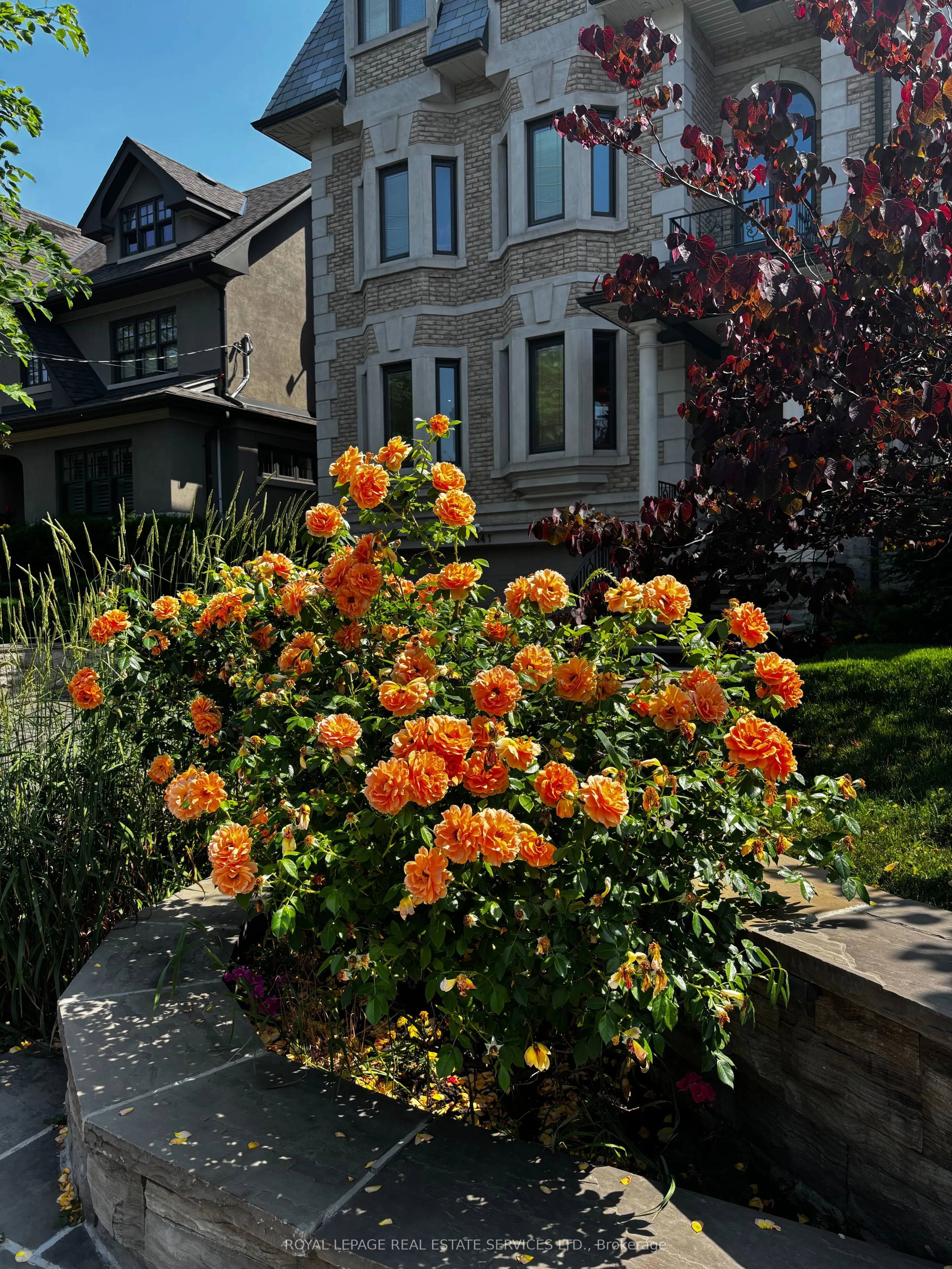 441 Oriole Parkway