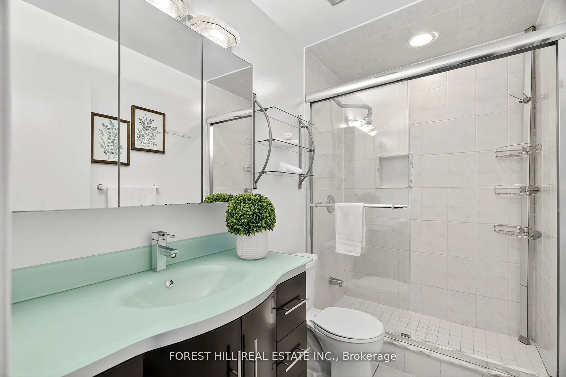 19 Snowshoe Mill Way, #187