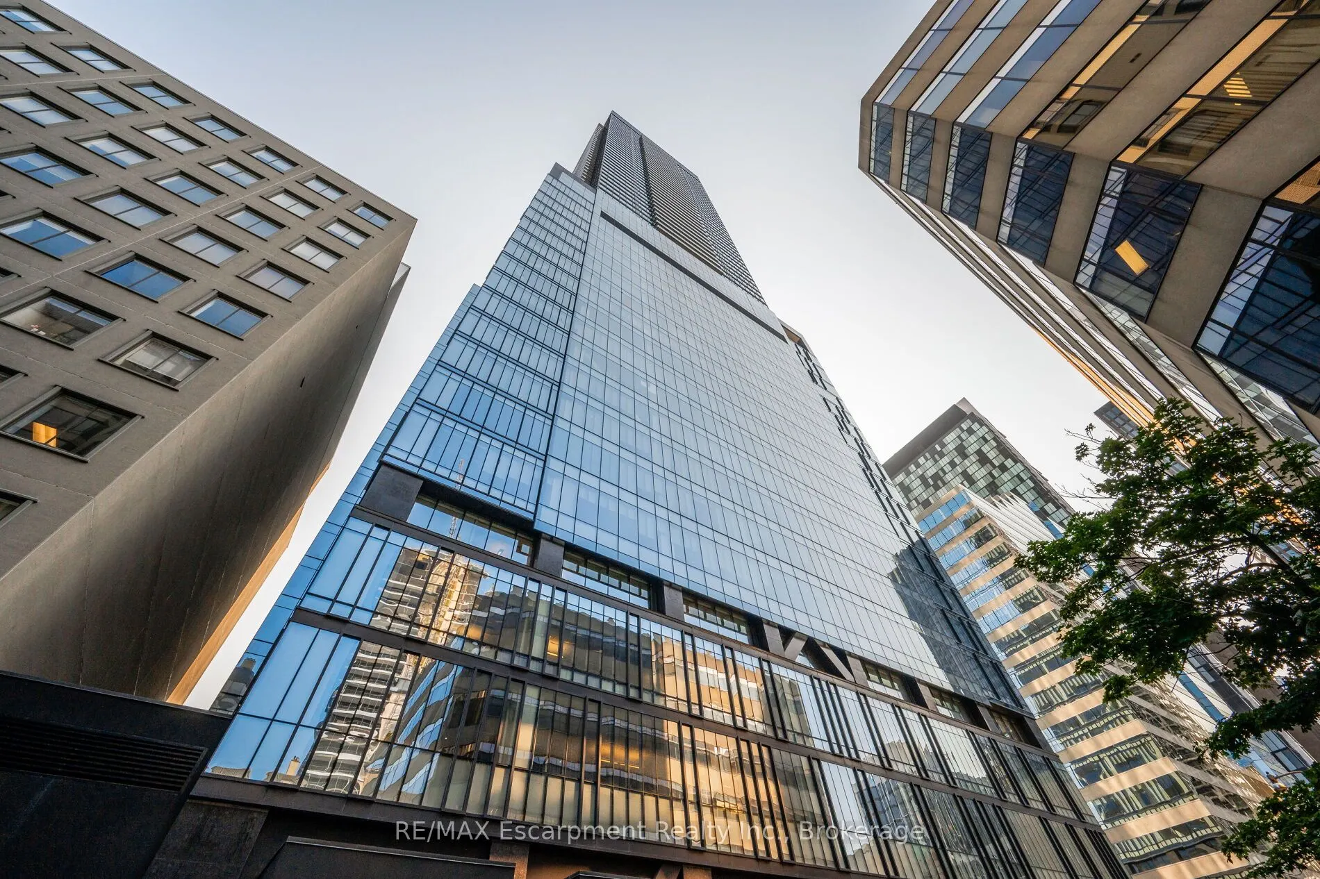 488 University Avenue, #2816
