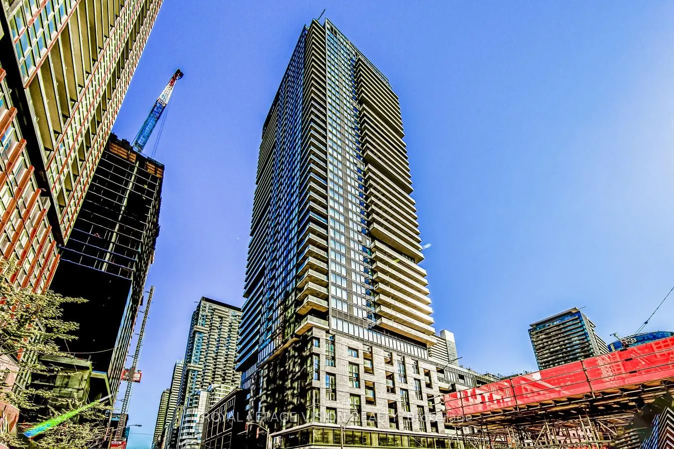 115 Blue Jays Way, #803