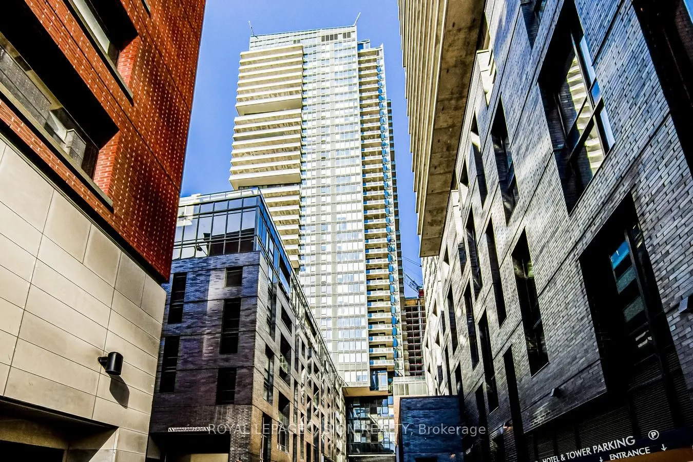 115 Blue Jays Way, #803