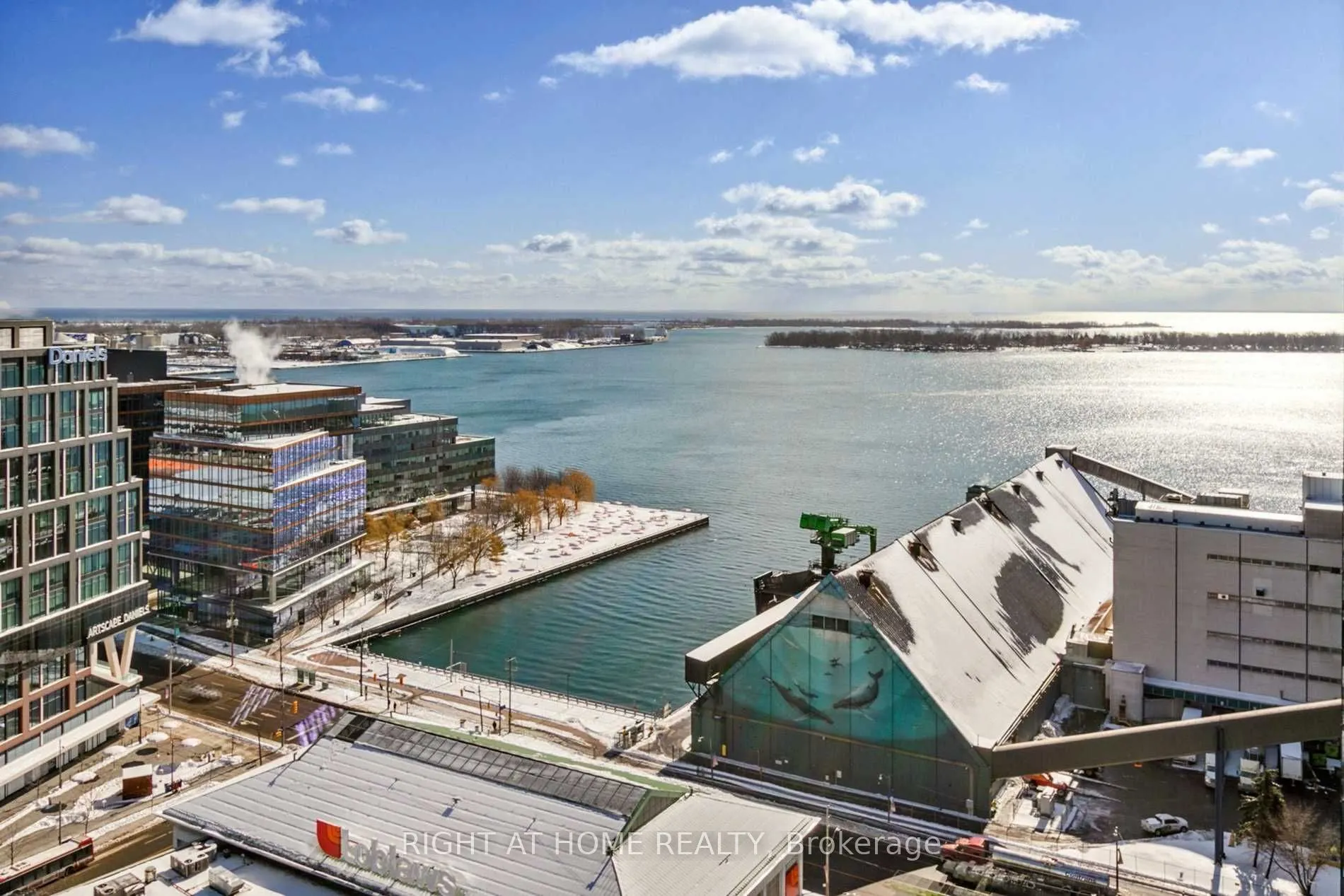 138 Downes Street, #2308