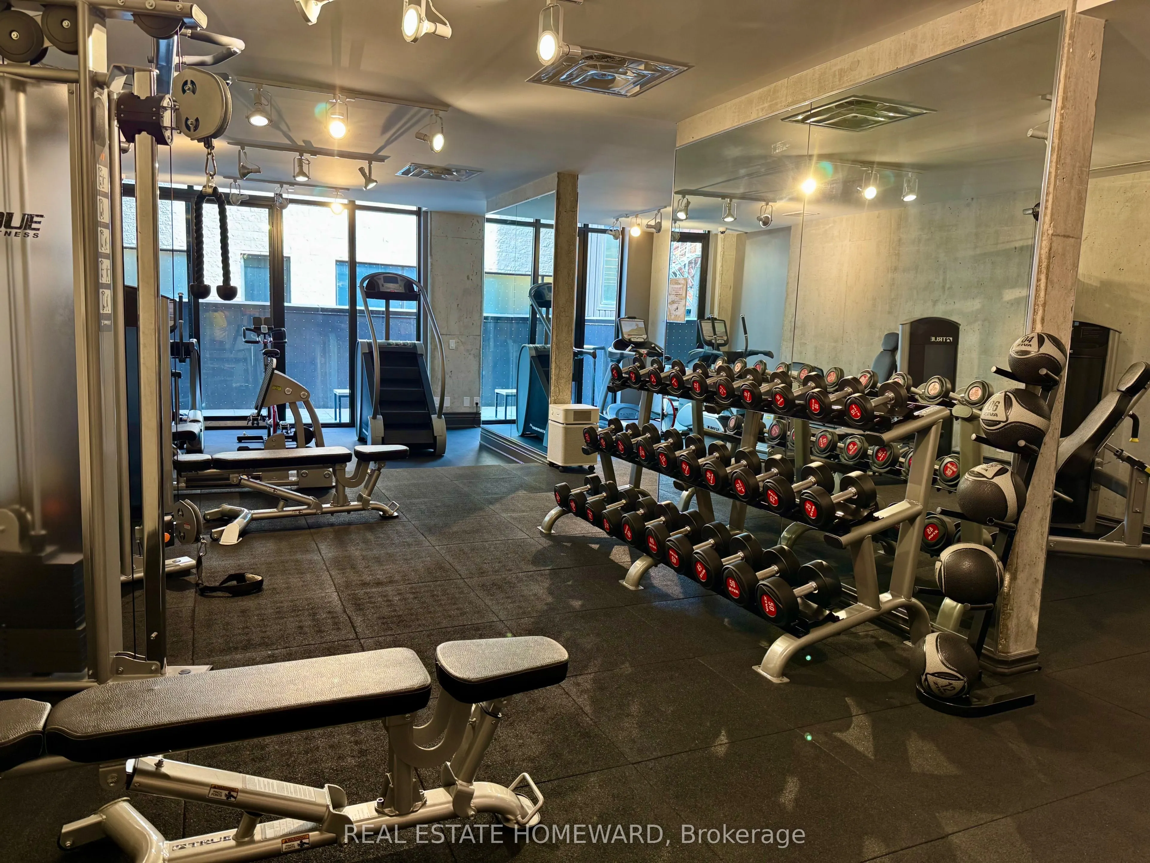 608 Richmond Street W, #501