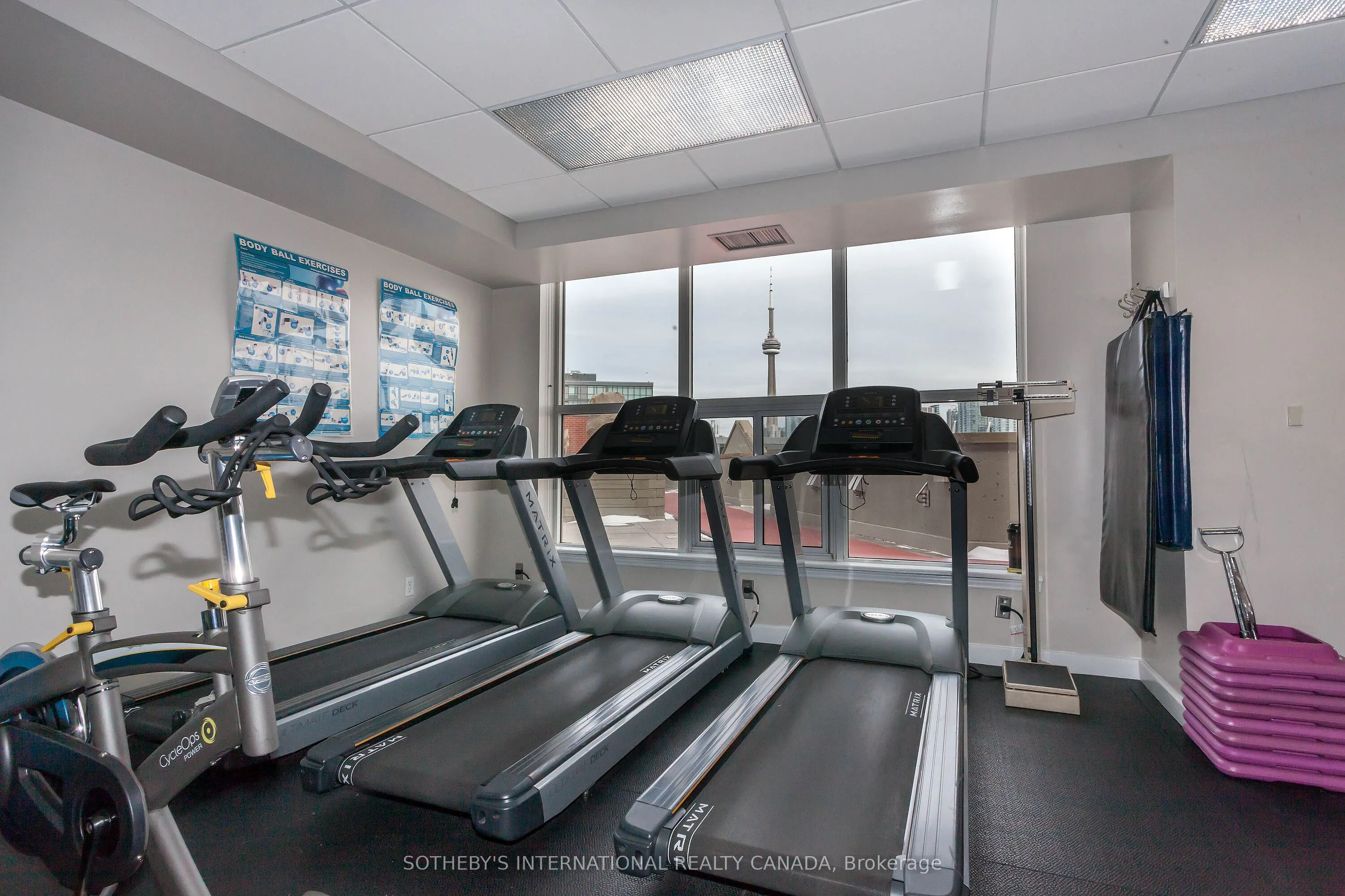 801 King Street W, #213