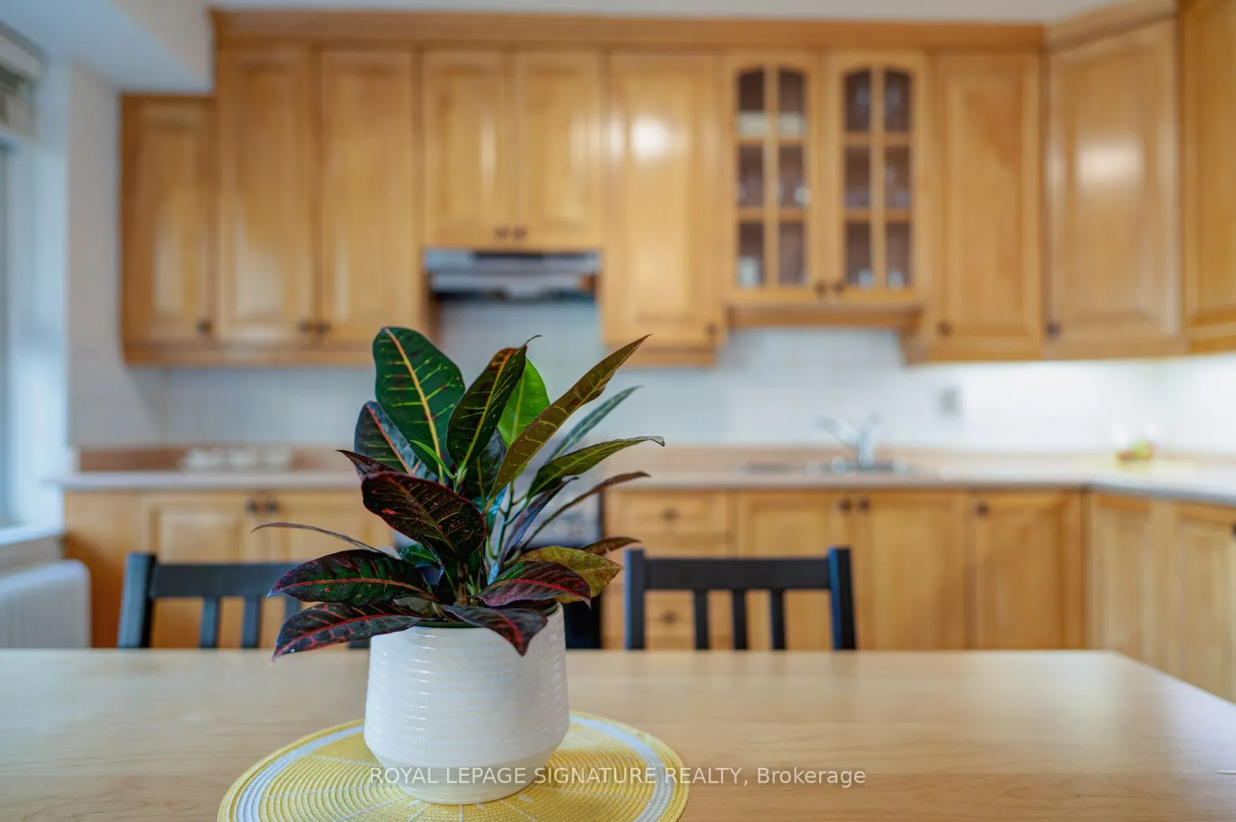 8 Corinth Gardens, #3