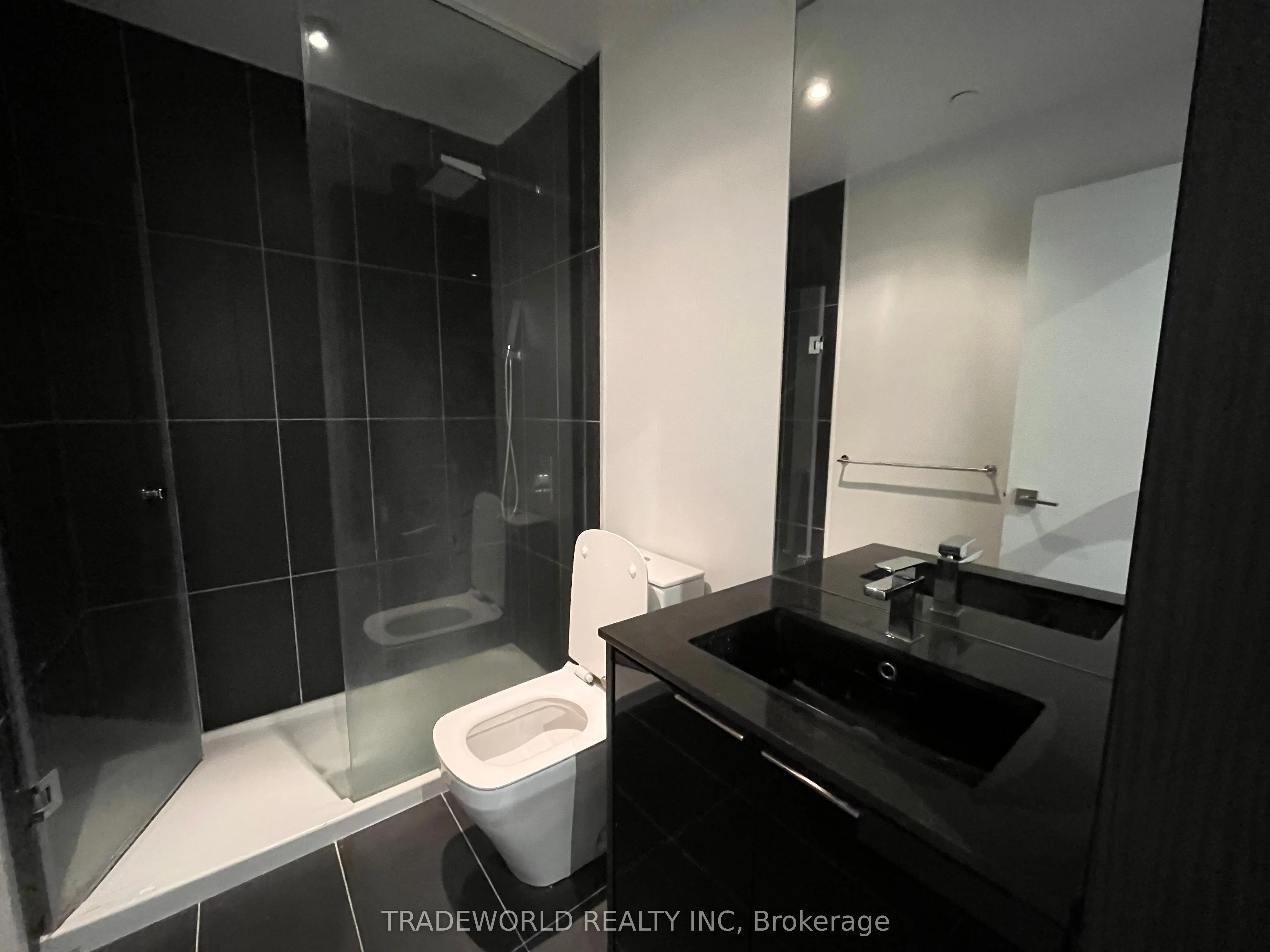 70 Temperance Street, #4217