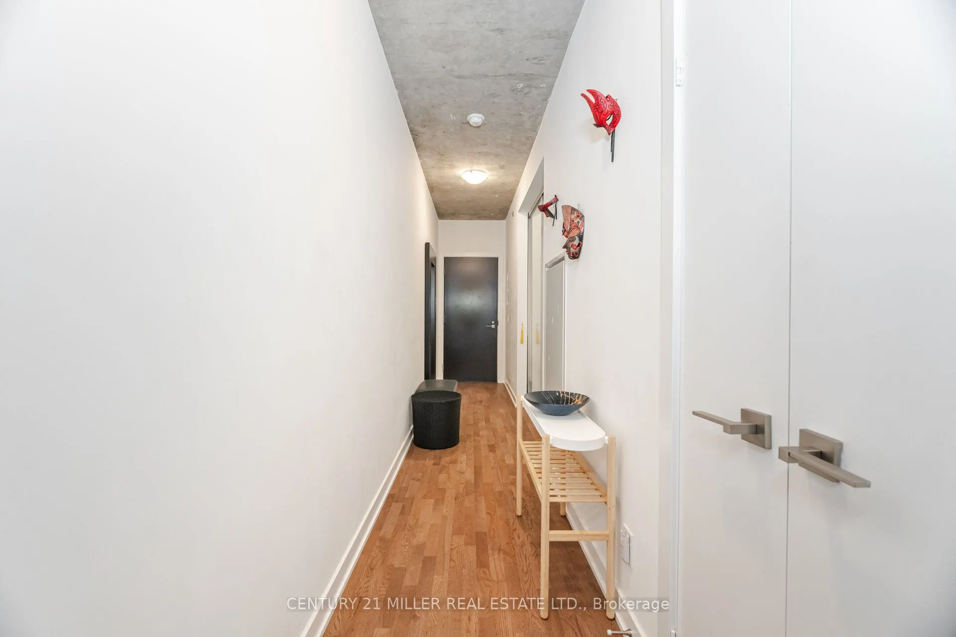 15 Beverley Street, #301