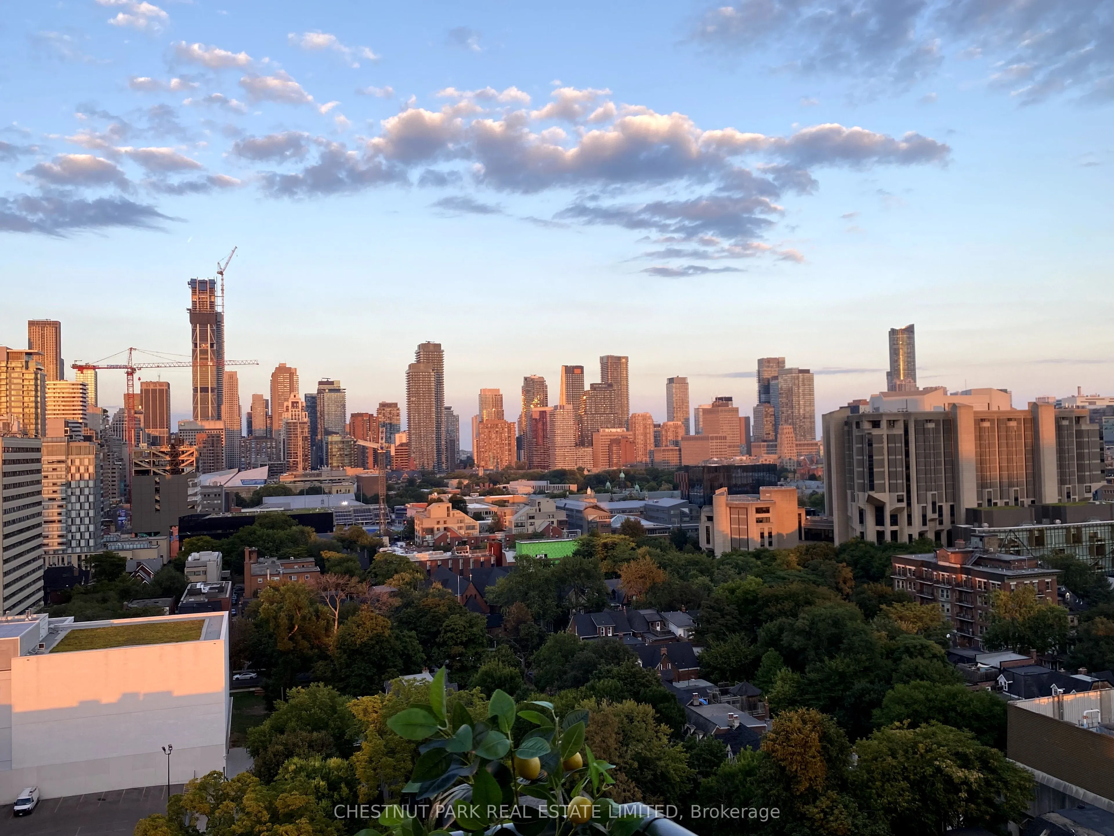 736 Spadina Avenue, #1711