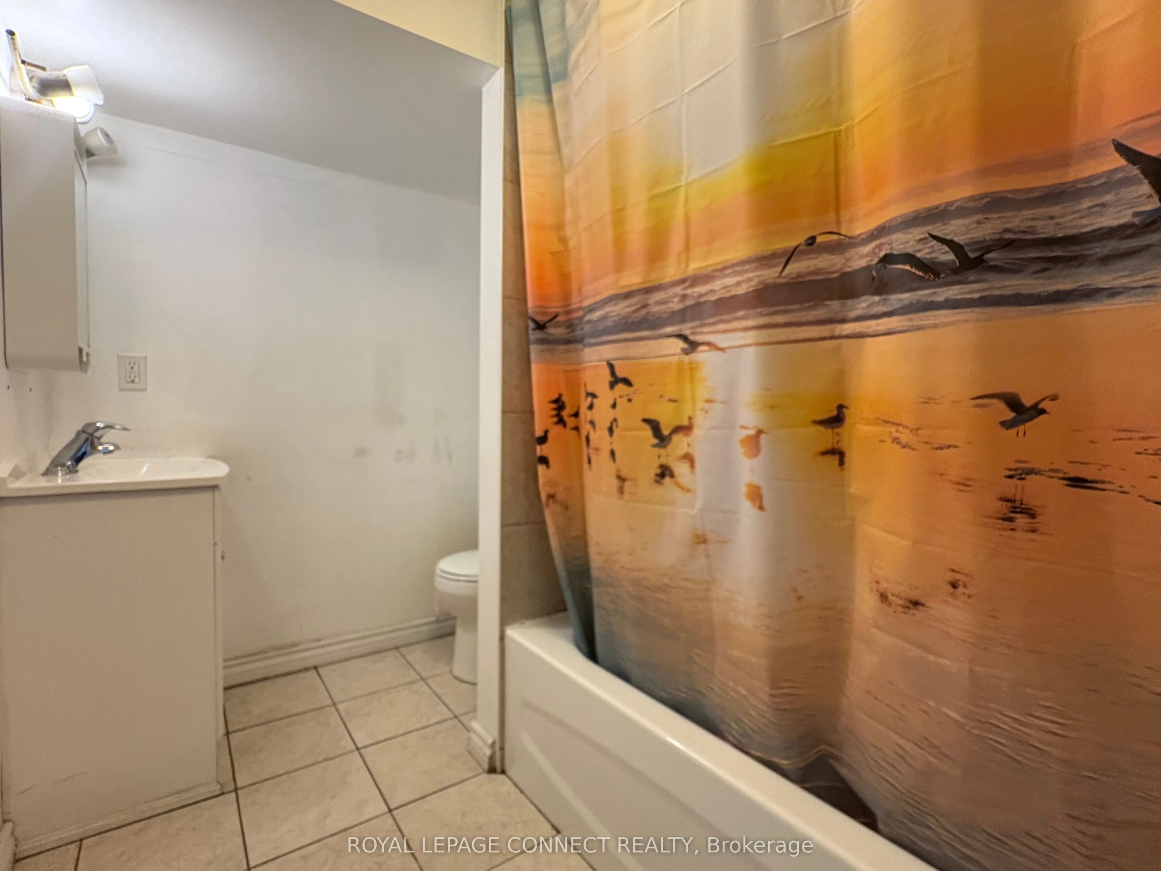 58 Navaho Drive, #Lower