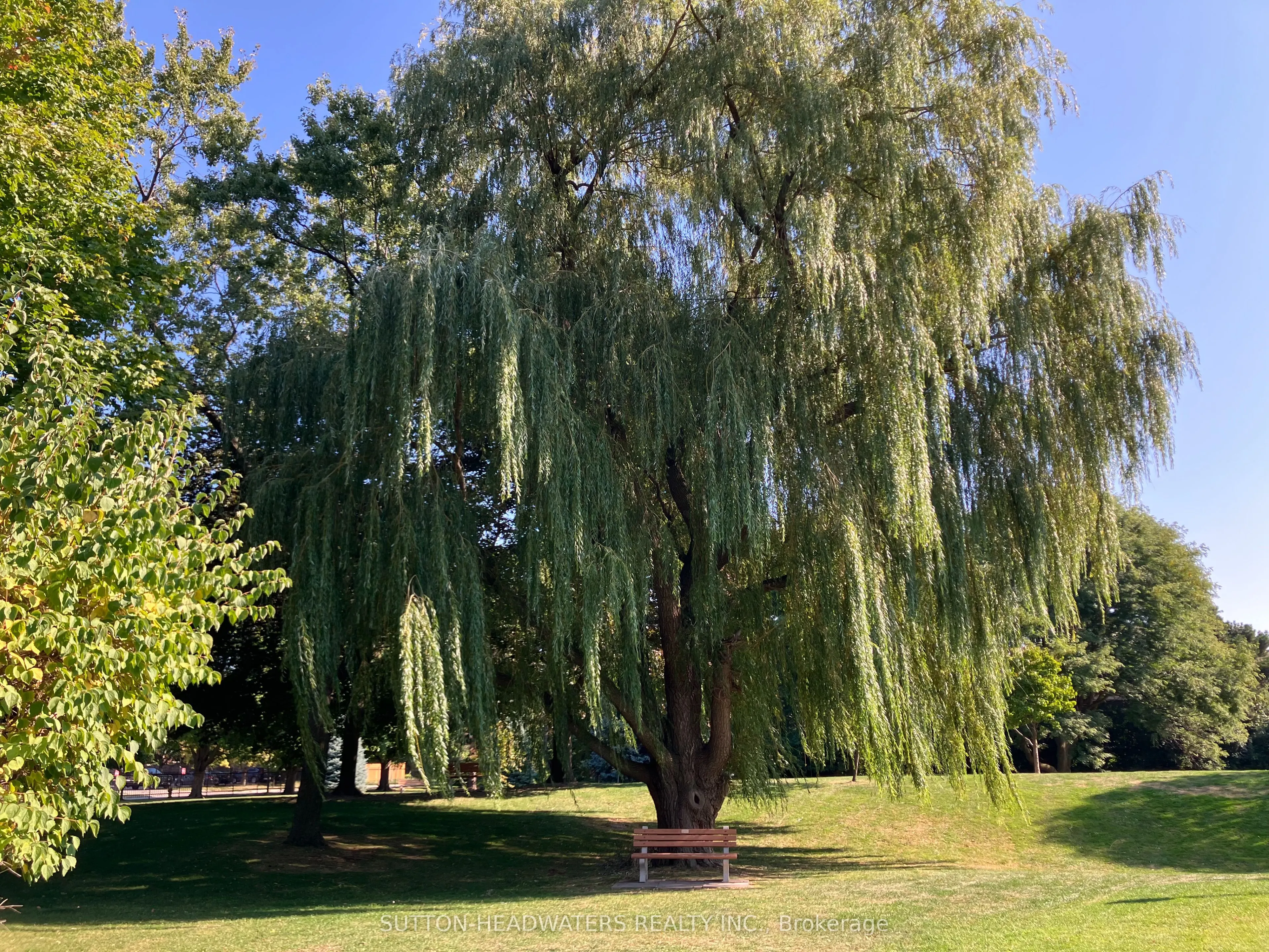 5 Old Sheppard Avenue, #2306