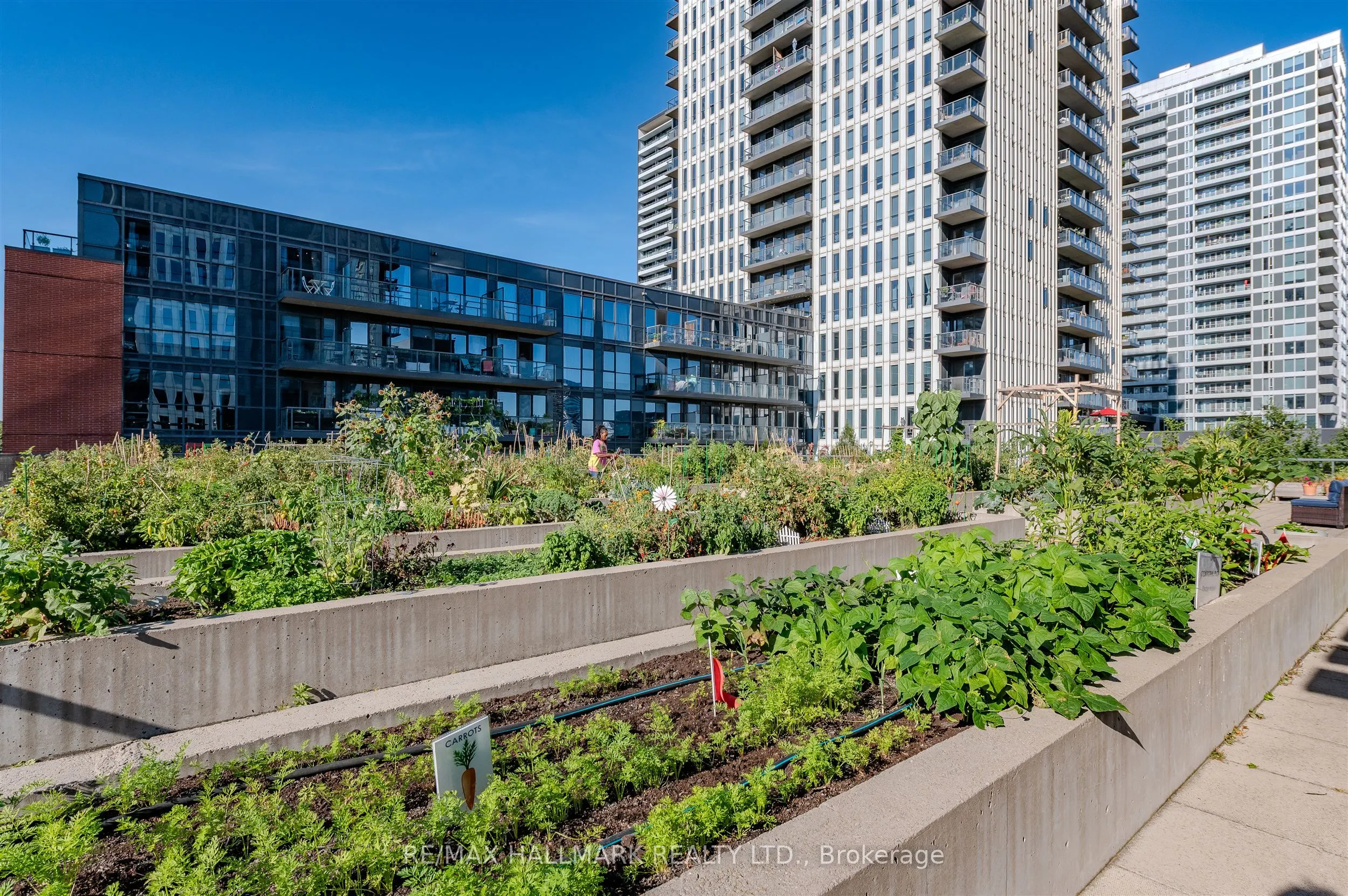 55 Regent Park Boulevard, #702