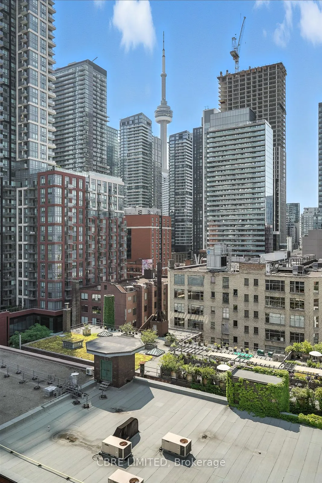 388 Richmond Street W, #1107