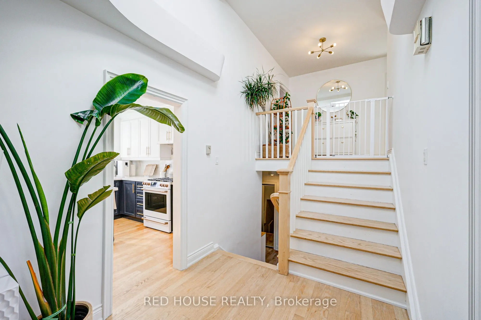 211 Torresdale Avenue