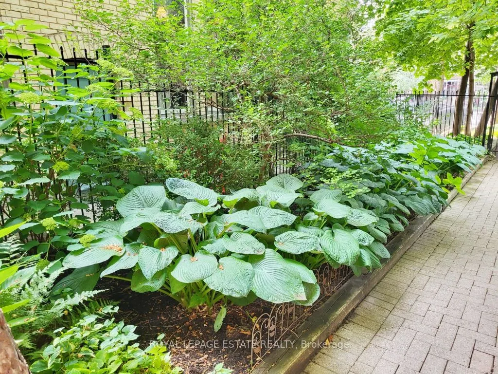 77 Maitland Place, #1526