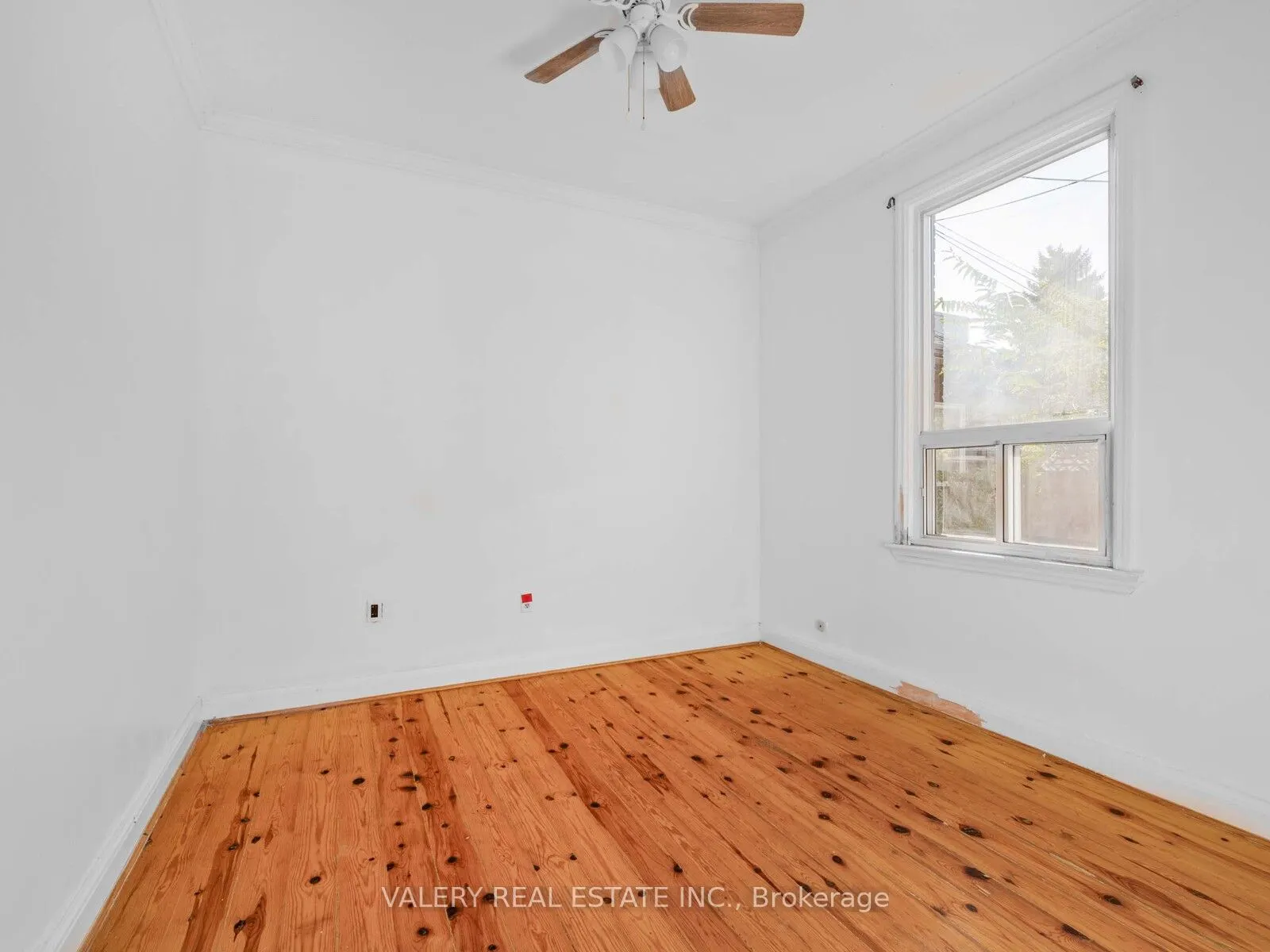 7 Ellsworth Avenue