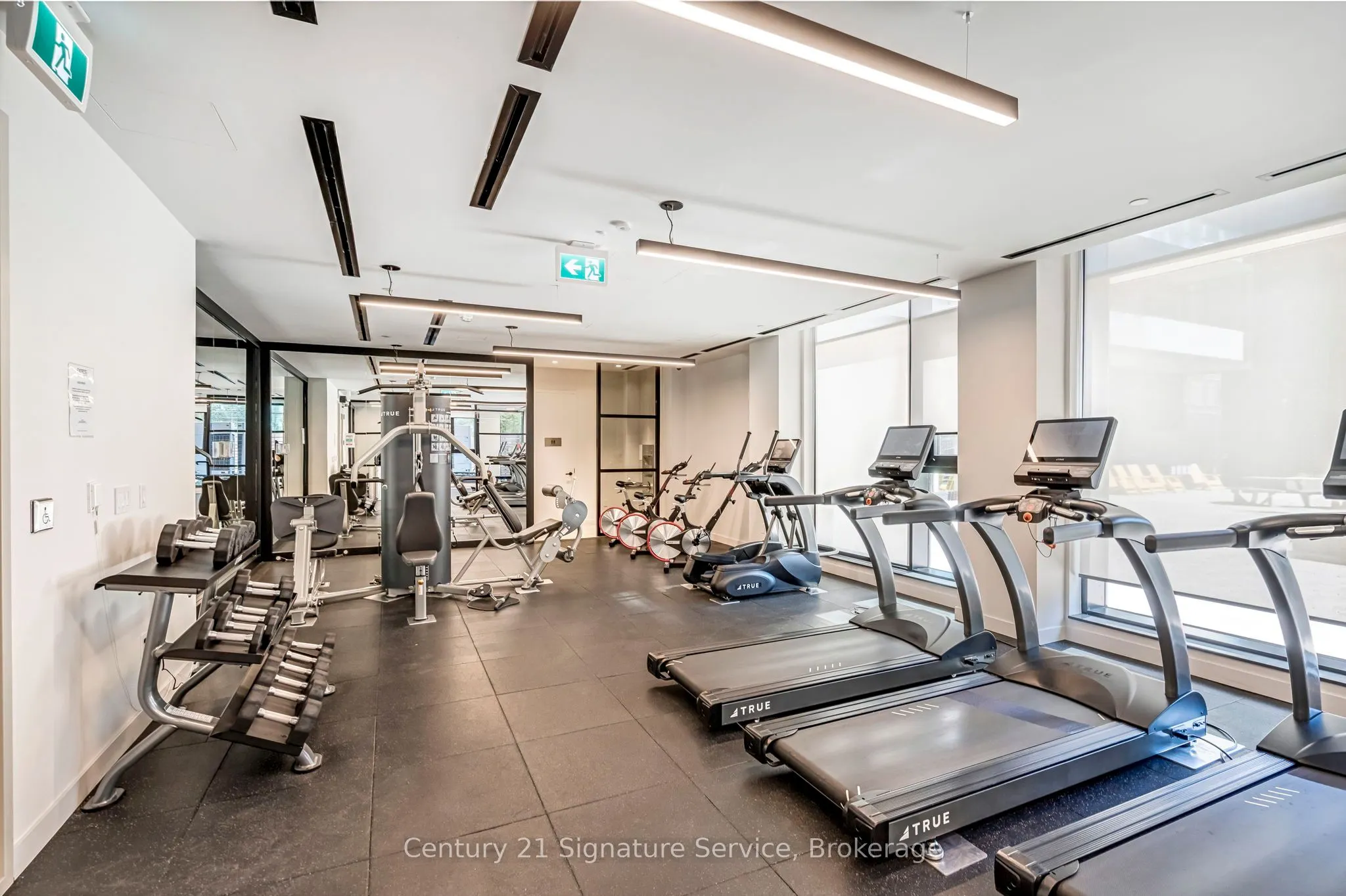 8 Tippett Road, #803
