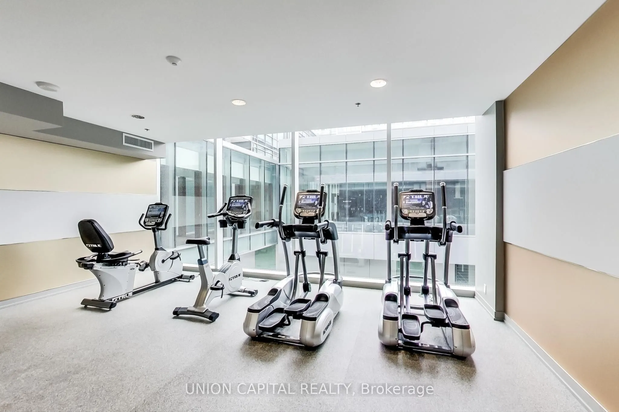 455 Front Street E, #N1110