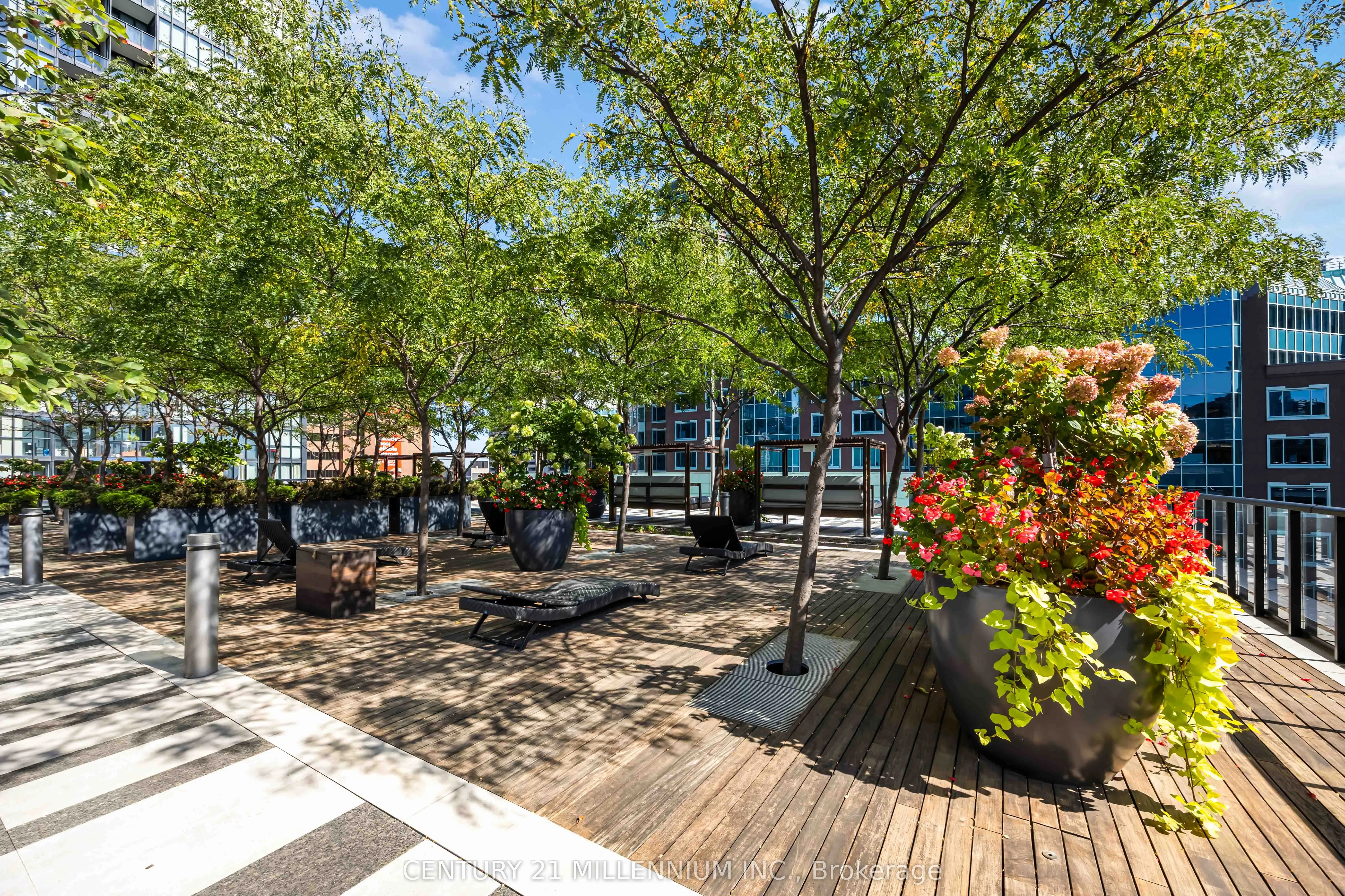 101 Charles Street E, #1006