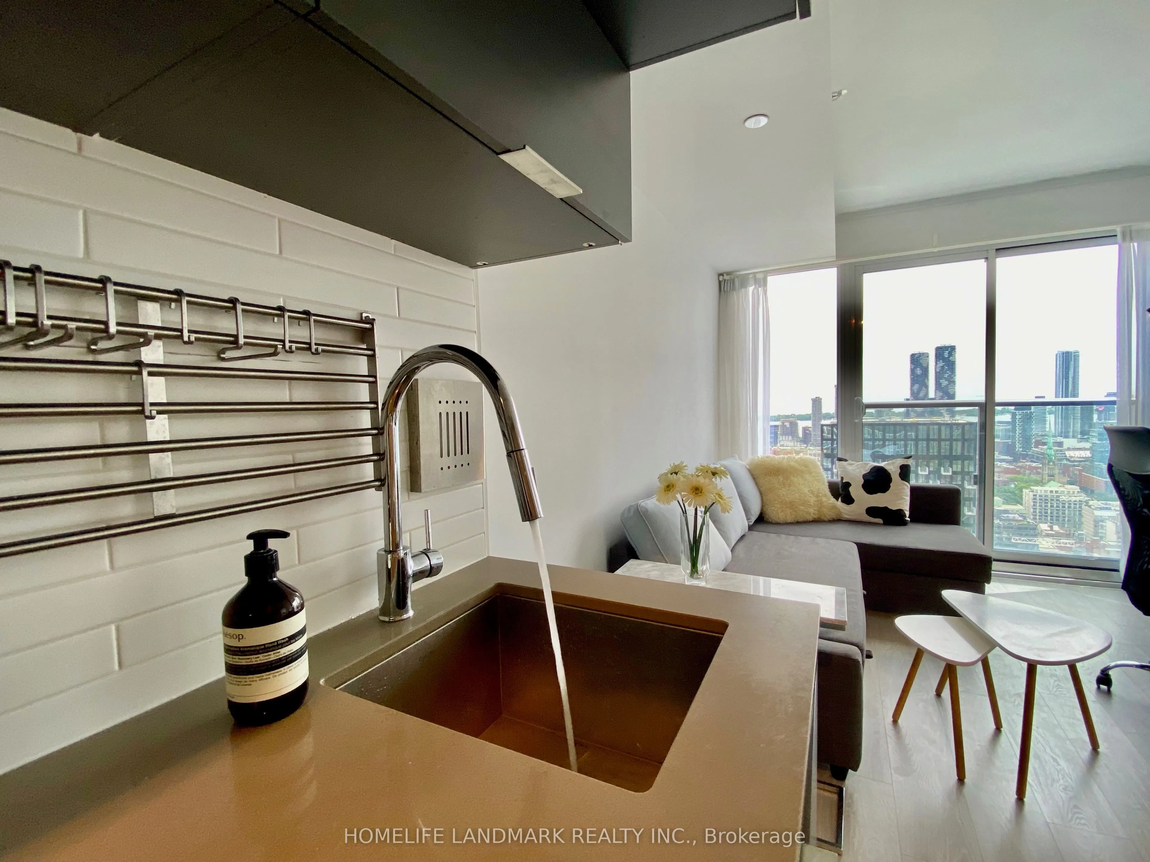 181 Dundas Street E, #4206