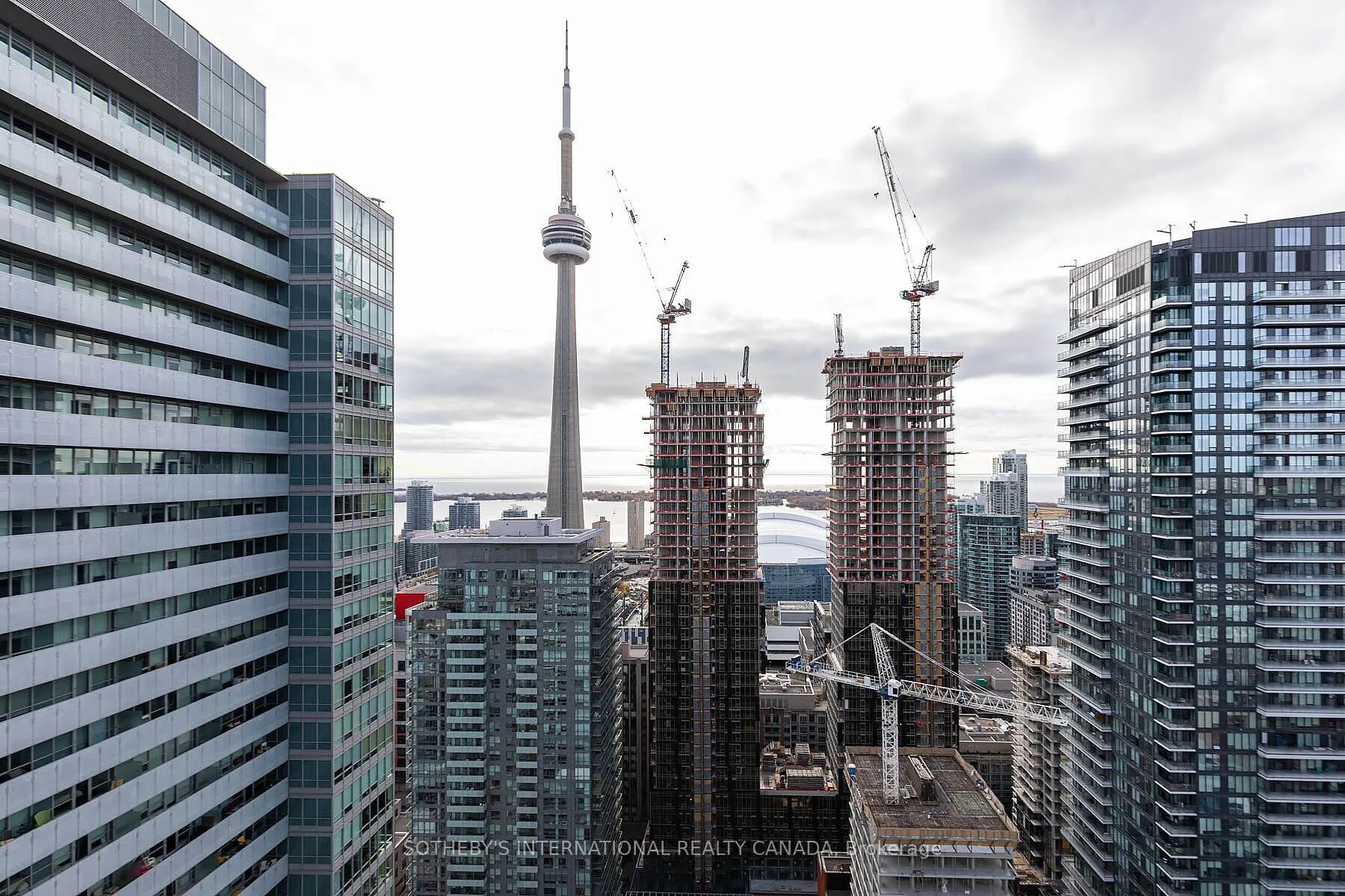 21 Widmer Street, #3811