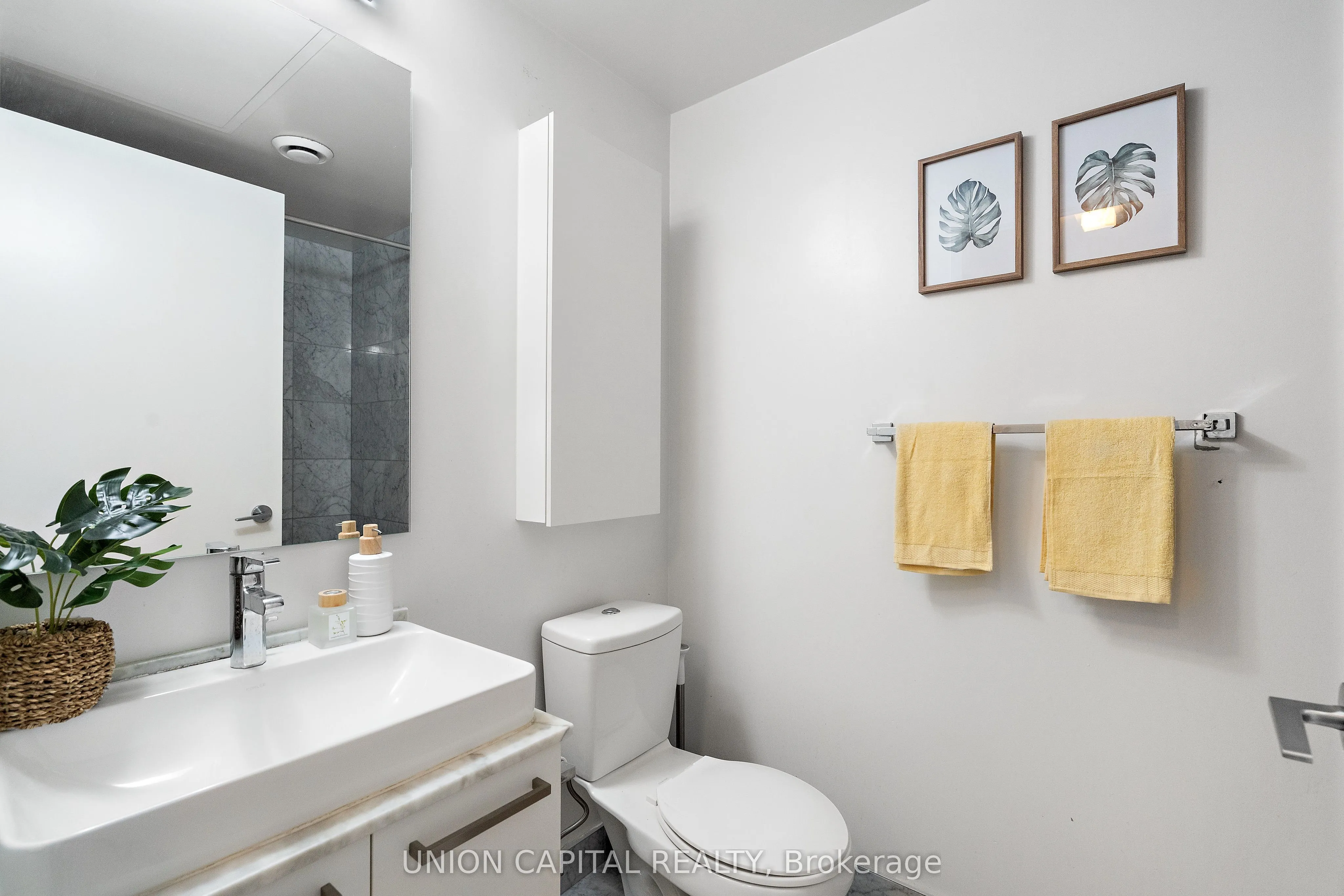 12 York Street, #501