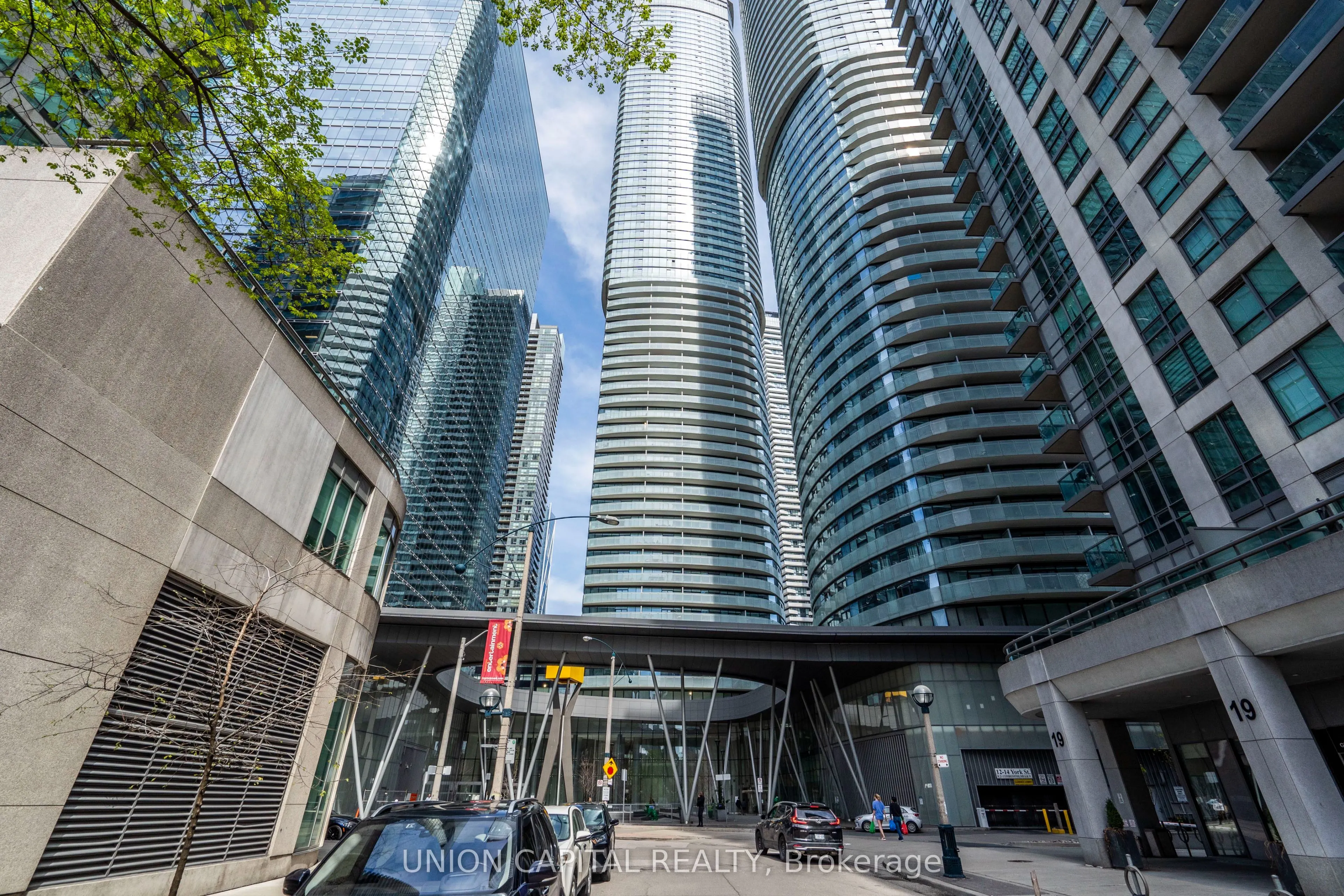 12 York Street, #501