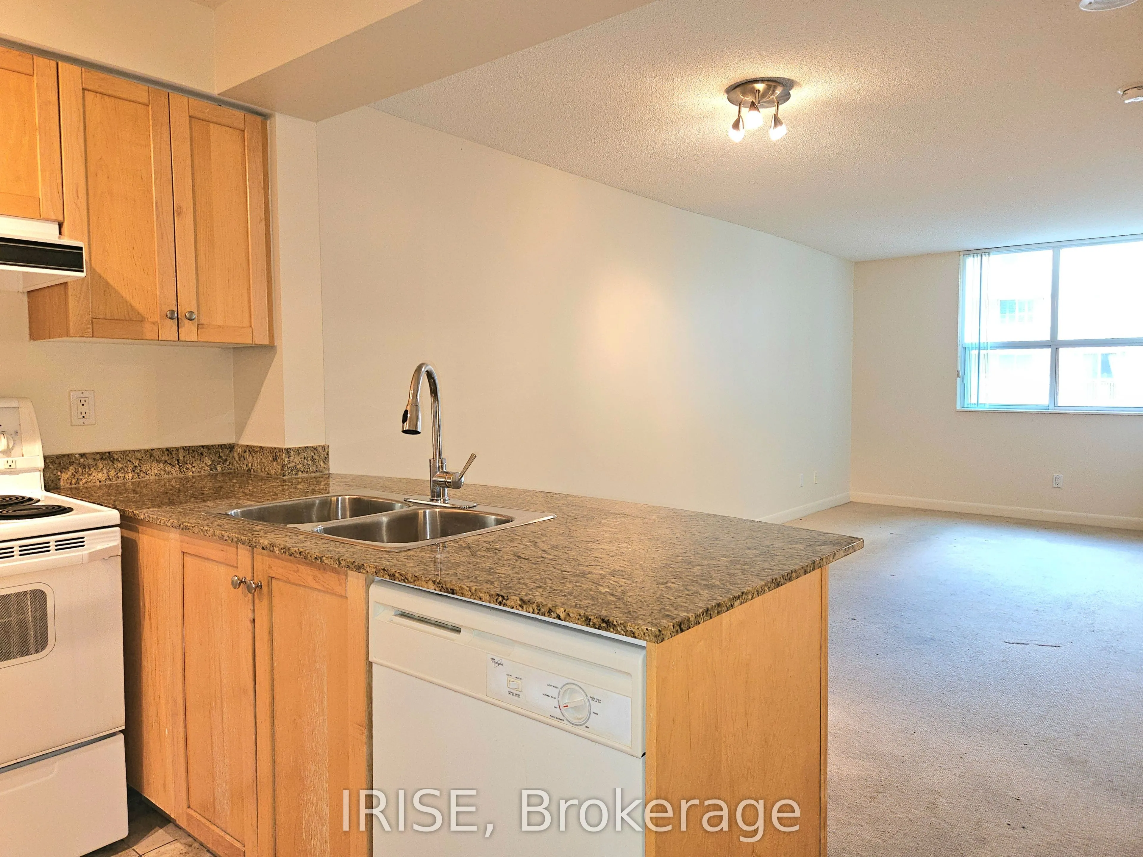 313 Richmond Street E, #1051