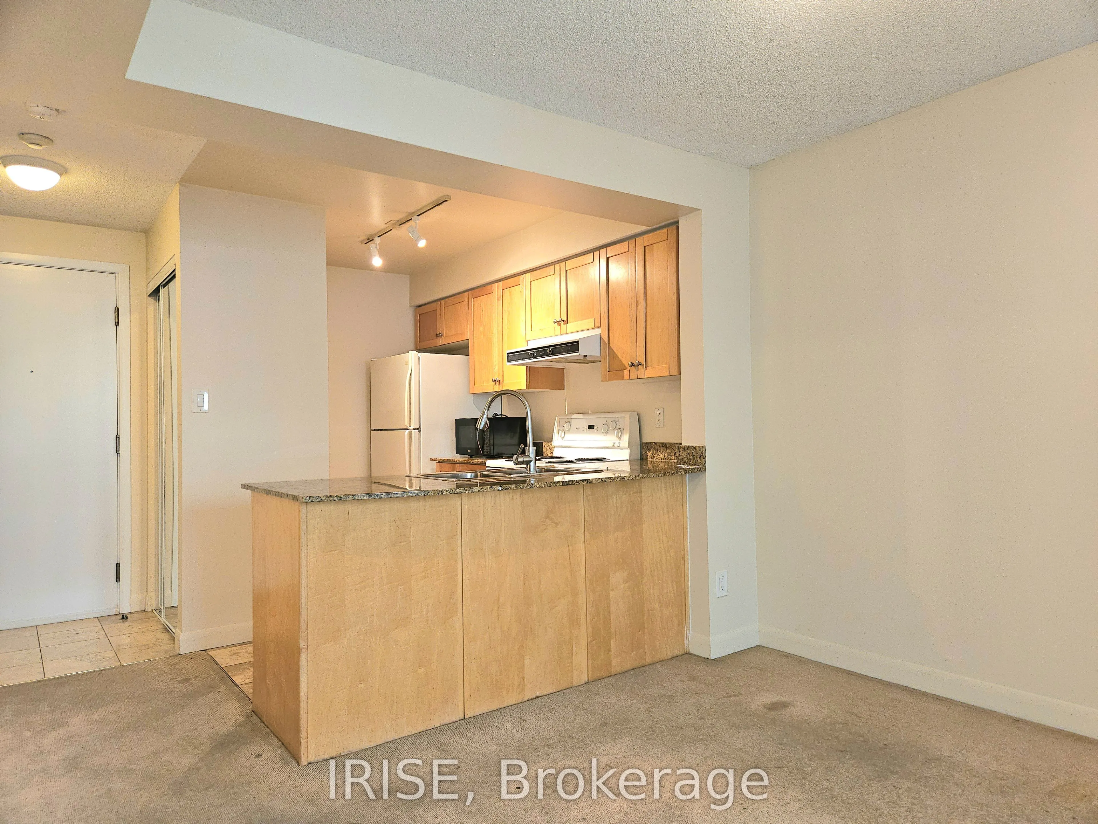 313 Richmond Street E, #1051