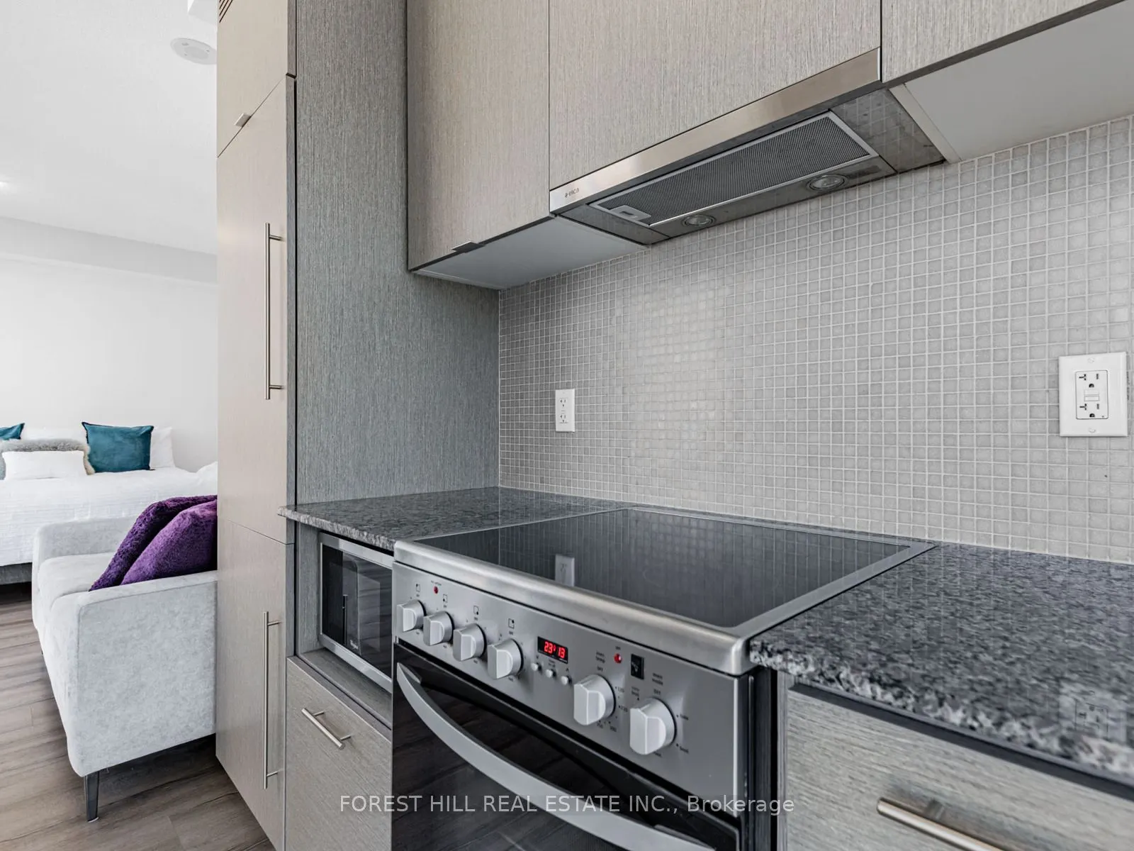 435 Richmond Street W, #PH 108