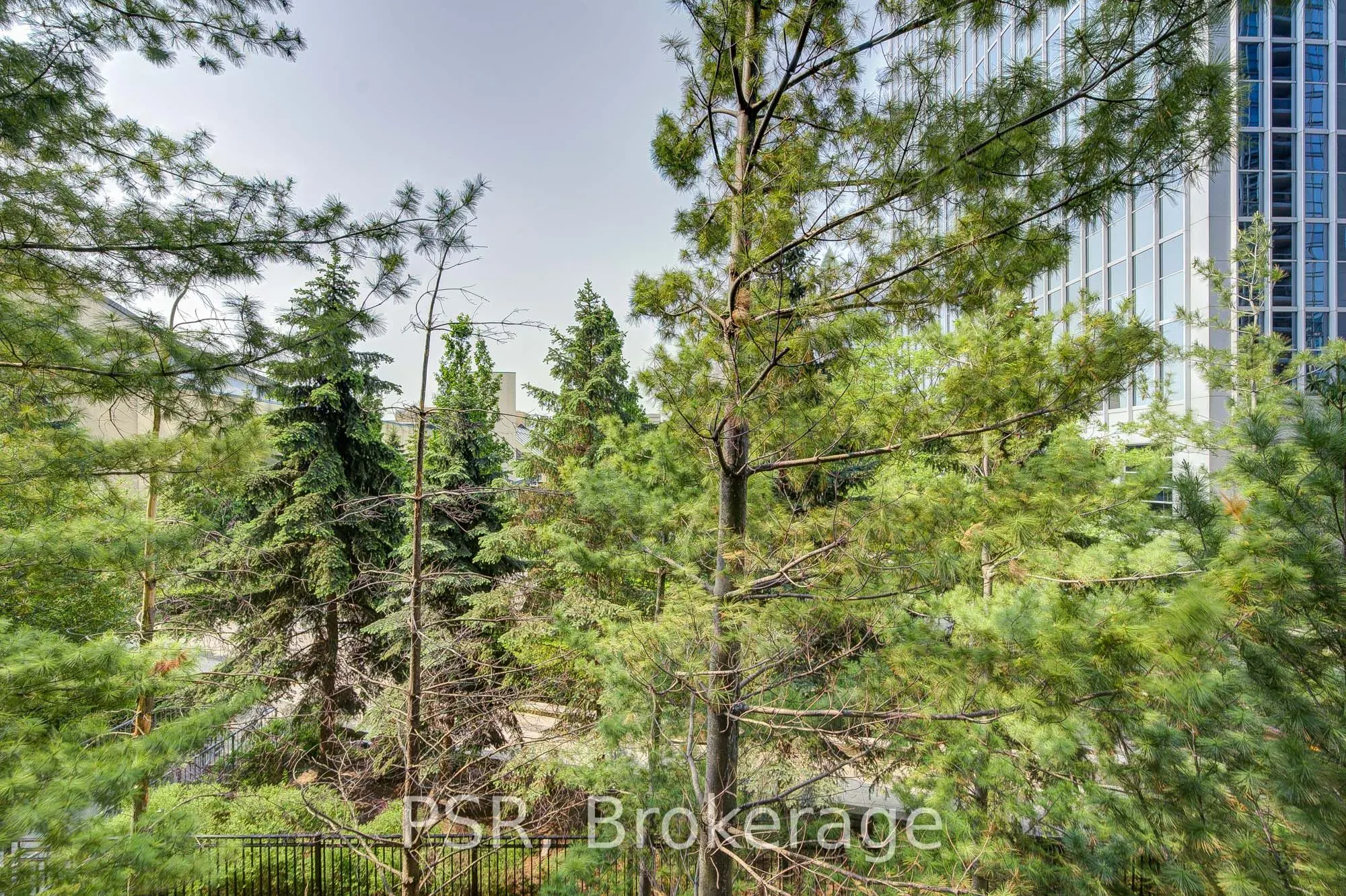 155 Beecroft Road, #211