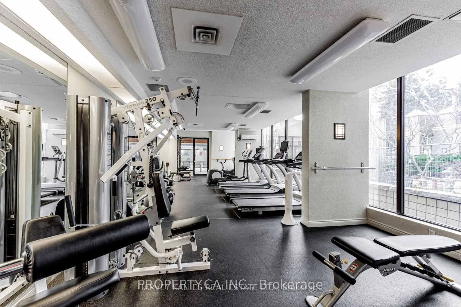 65 Spring Garden Avenue, #604