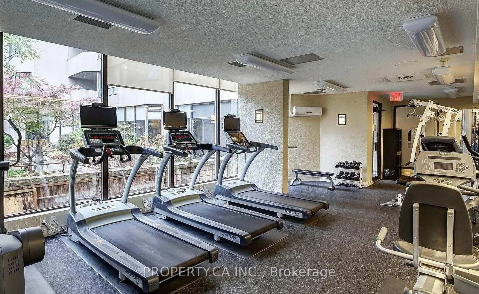 65 Spring Garden Avenue, #604