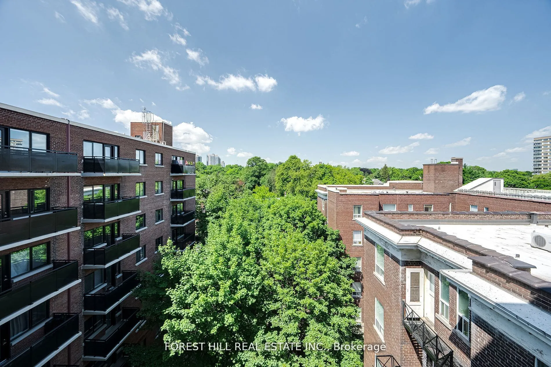 97 Lawton Boulevard, #804