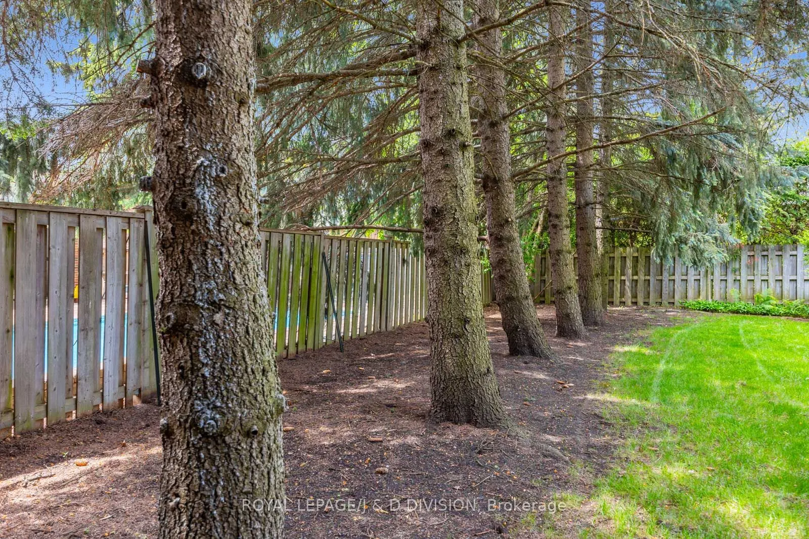 31 George Henry Boulevard