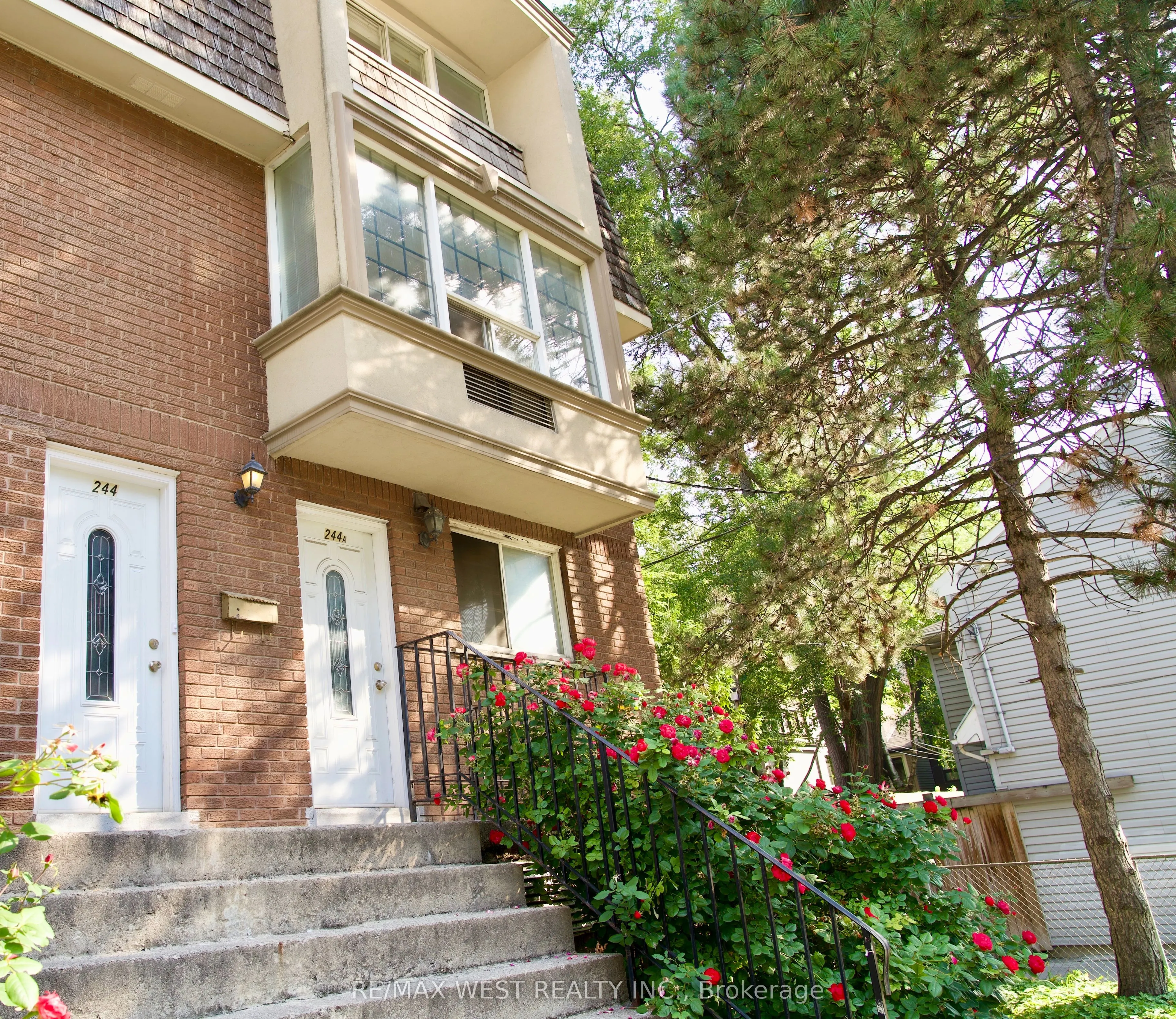 244 Shuter Street