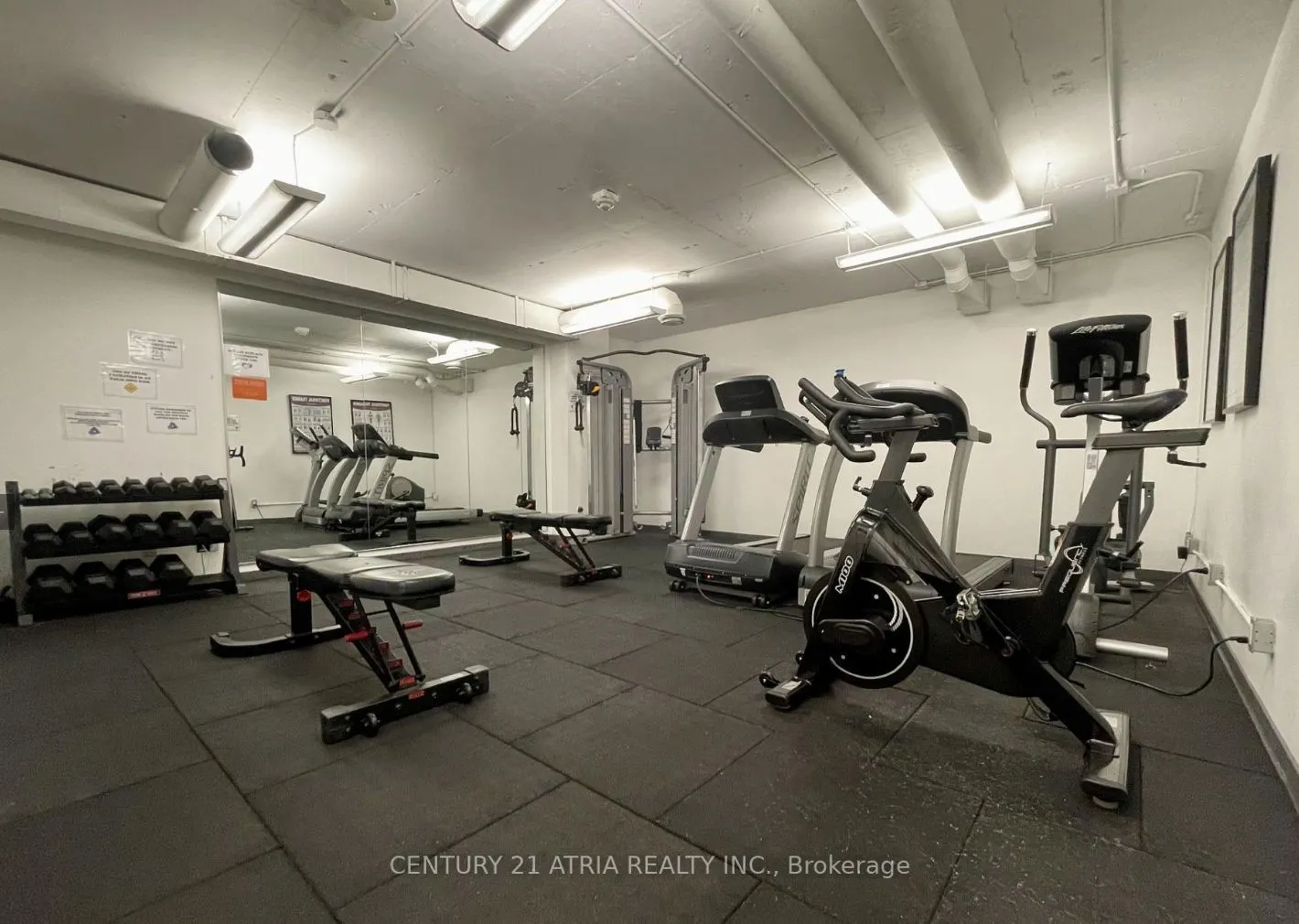 650 King Street W, #311