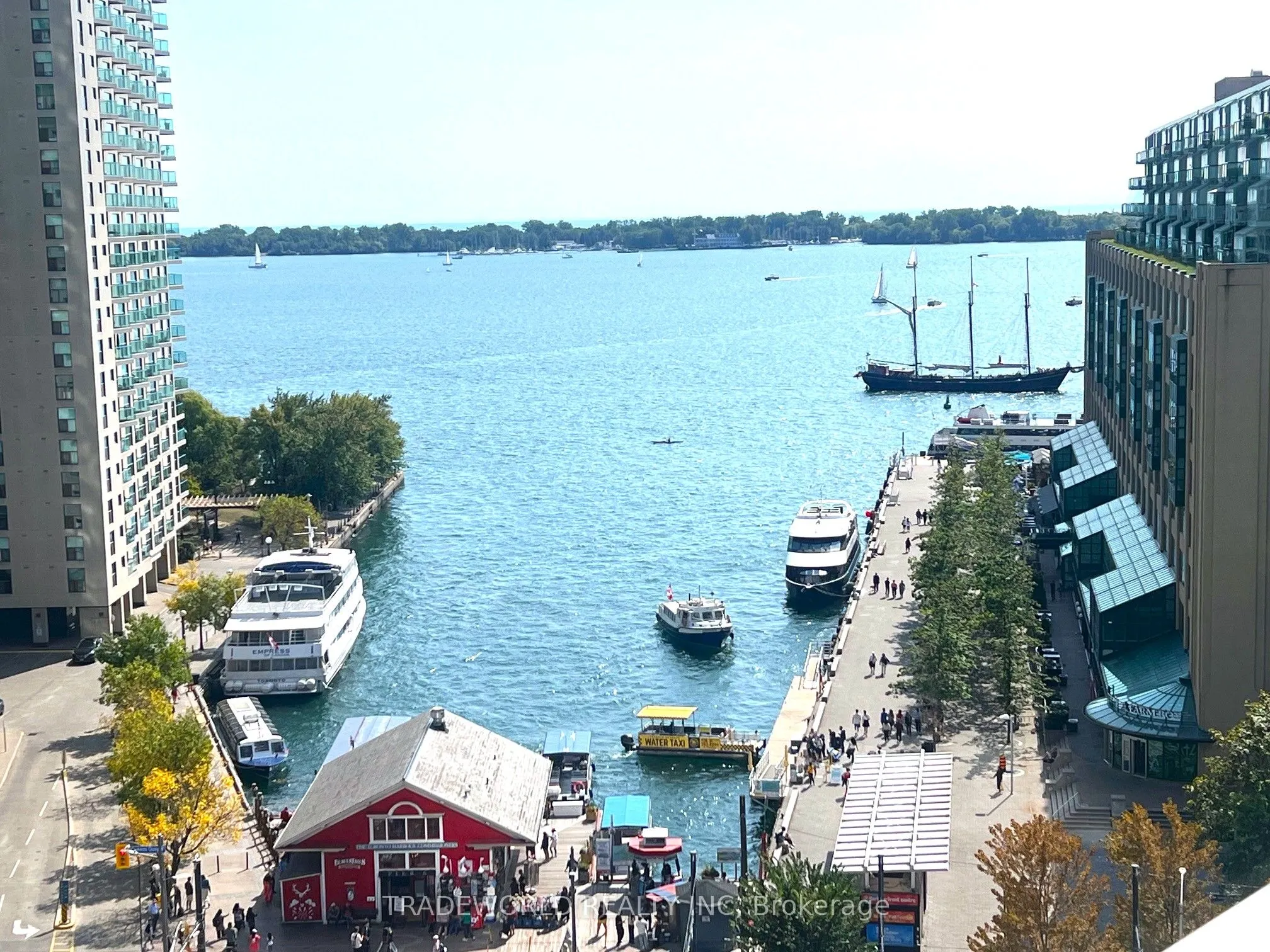 8 York Street, #1205