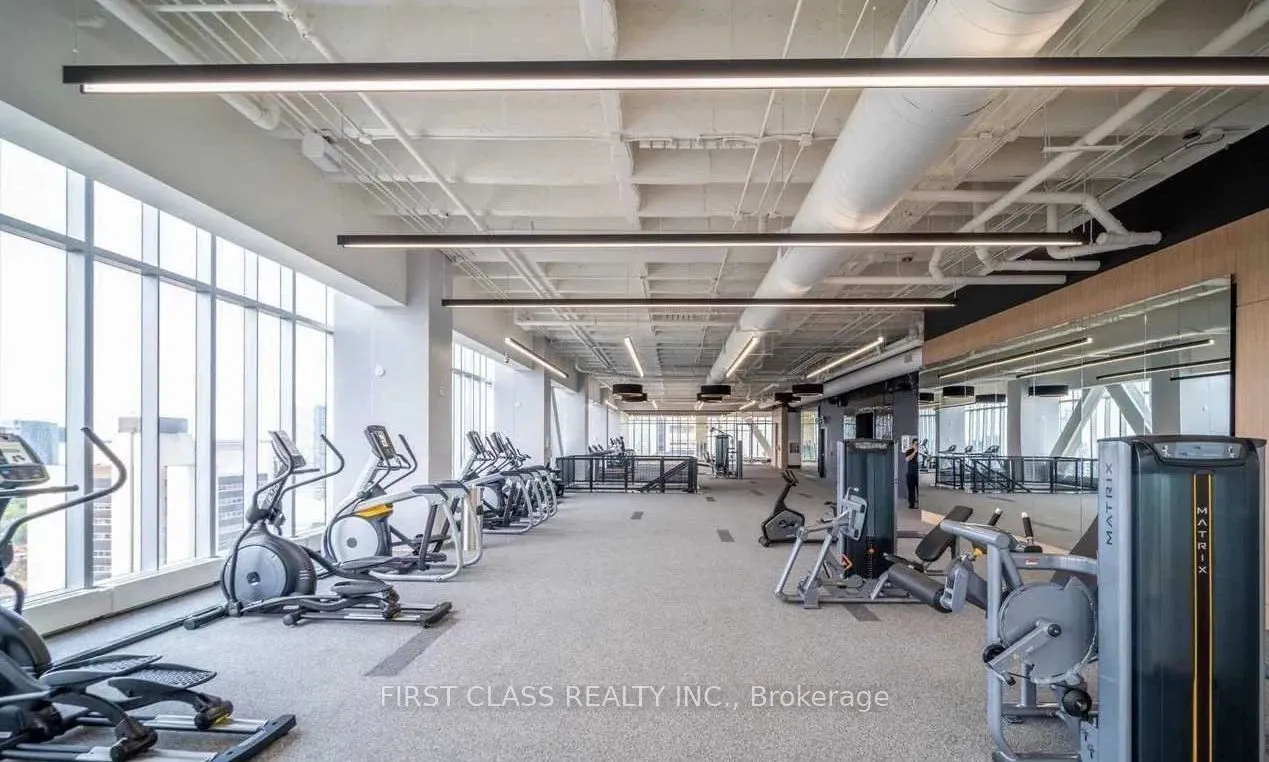 488 University Avenue, #3916