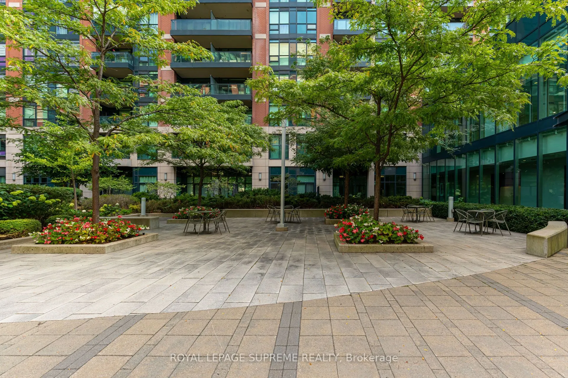 525 Wilson Avenue, #533
