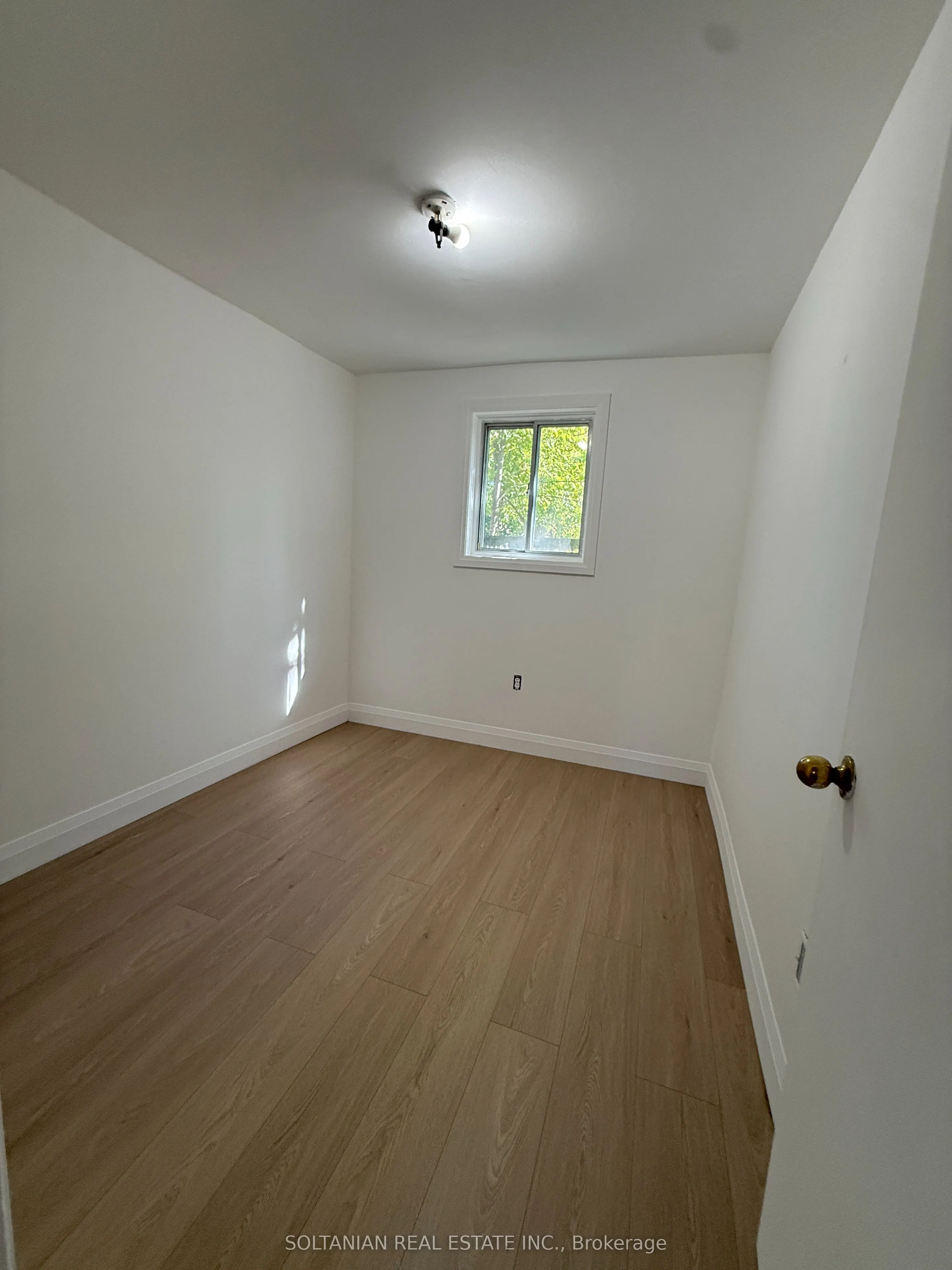 137 Homewood Avenue, #Basement
