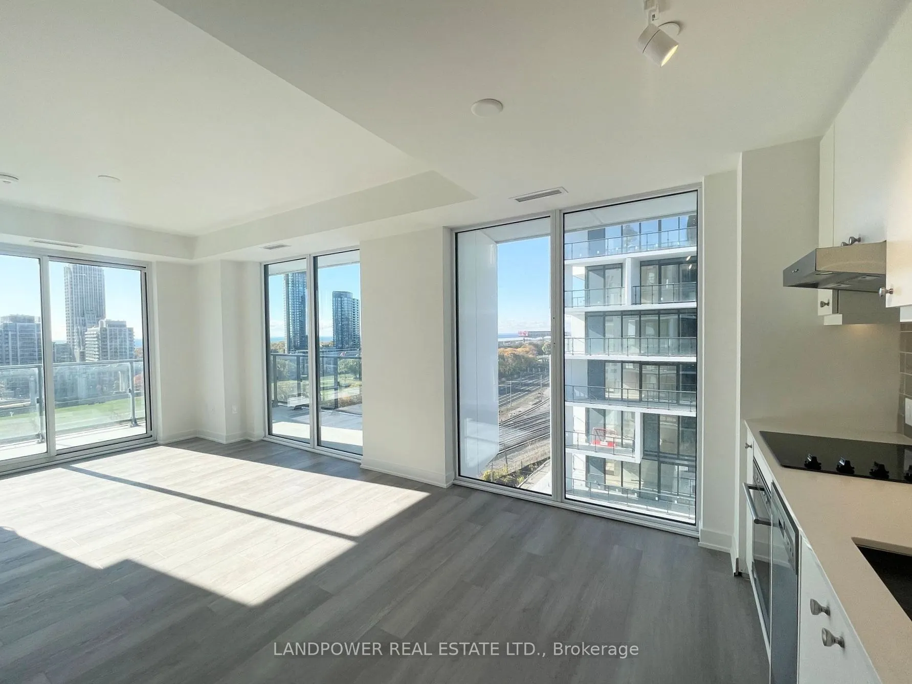 9 Tecumseth Street, #1021