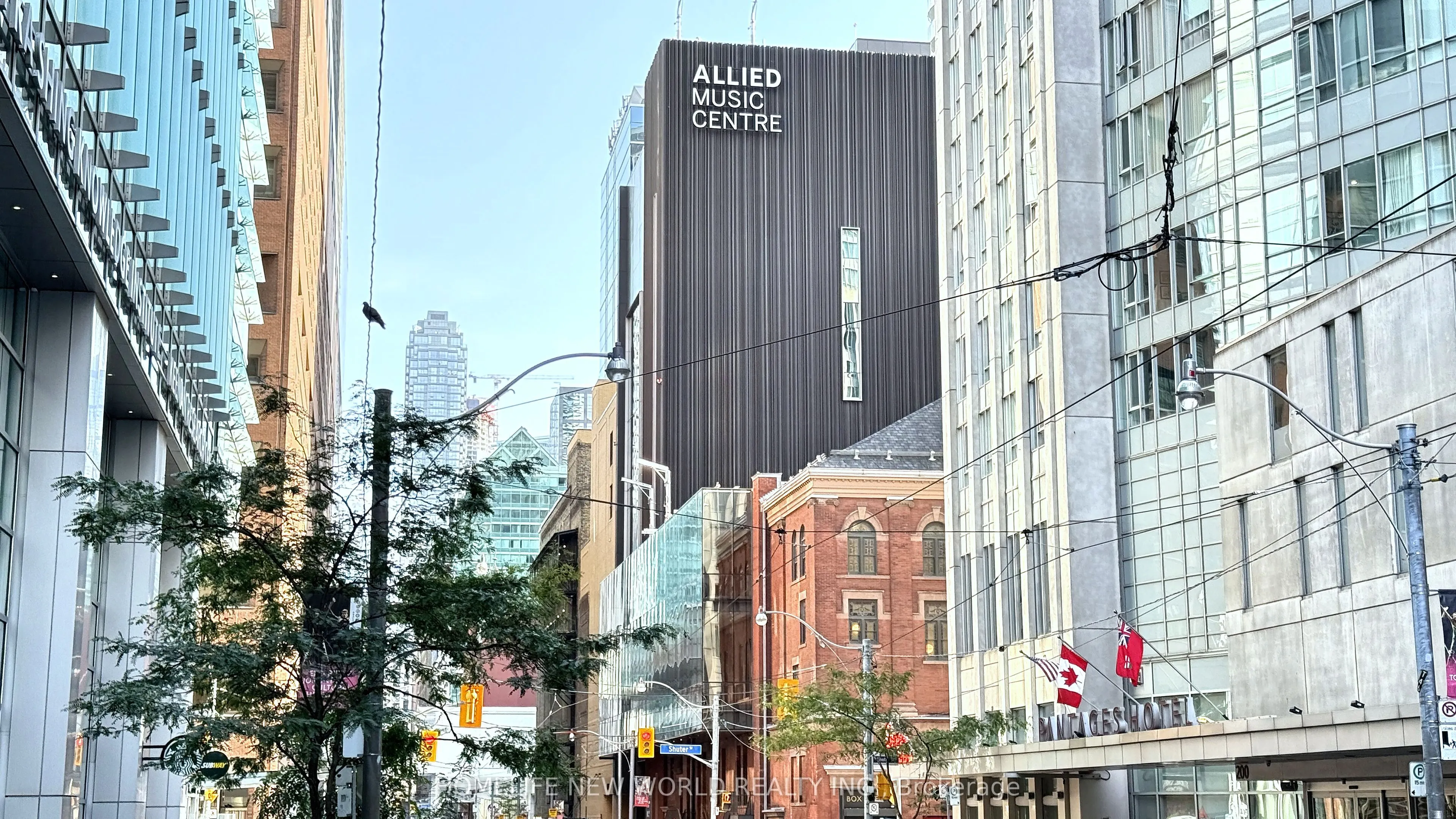220 Victoria Street, #1806