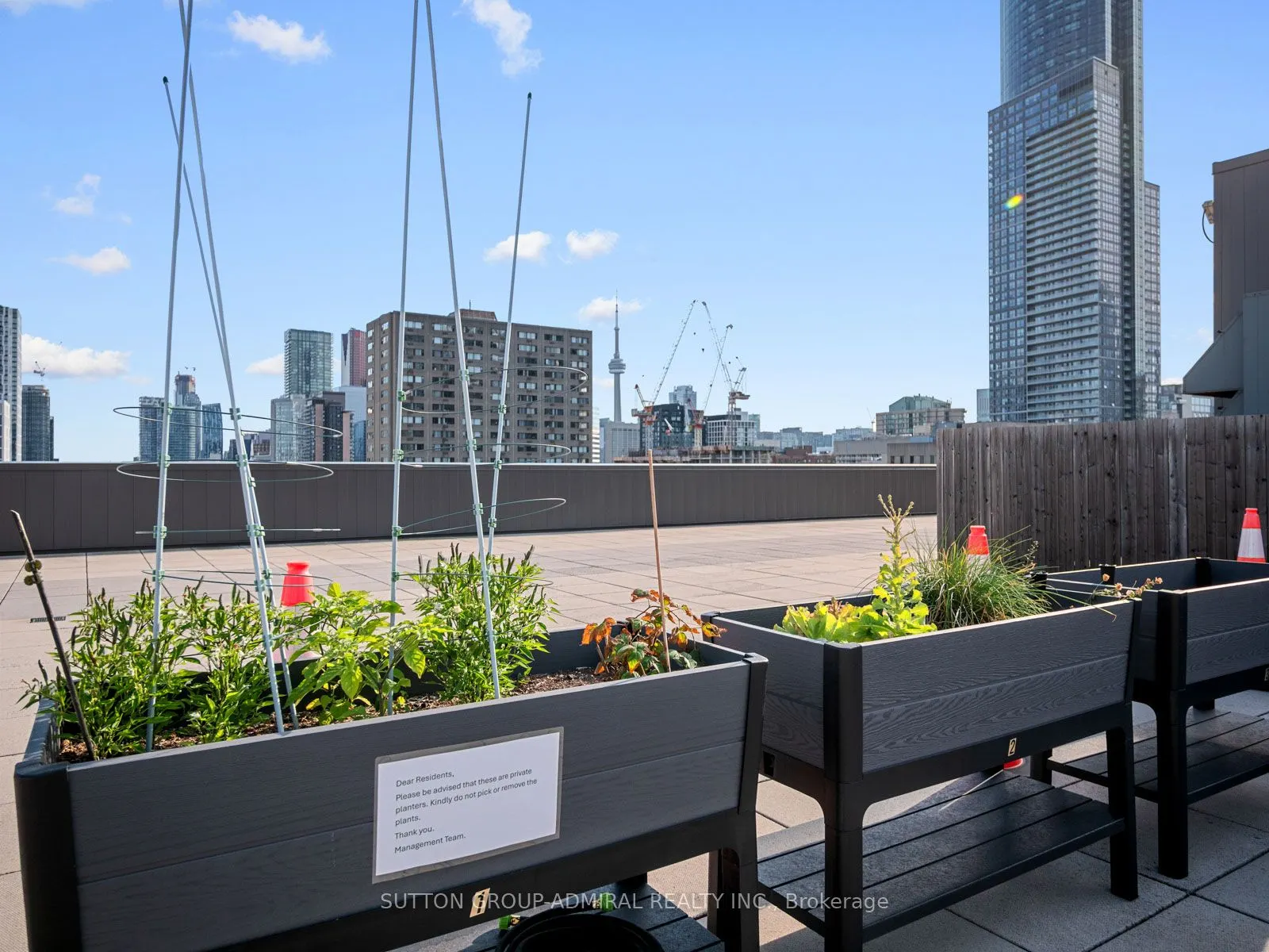 45 Carlton Street, #312