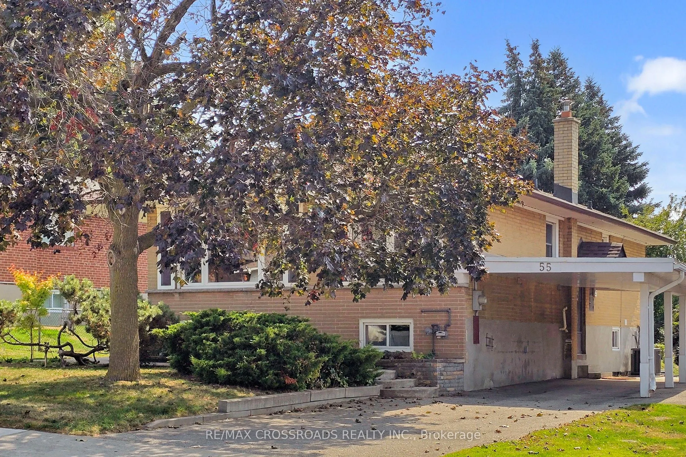 55 Elvaston Drive