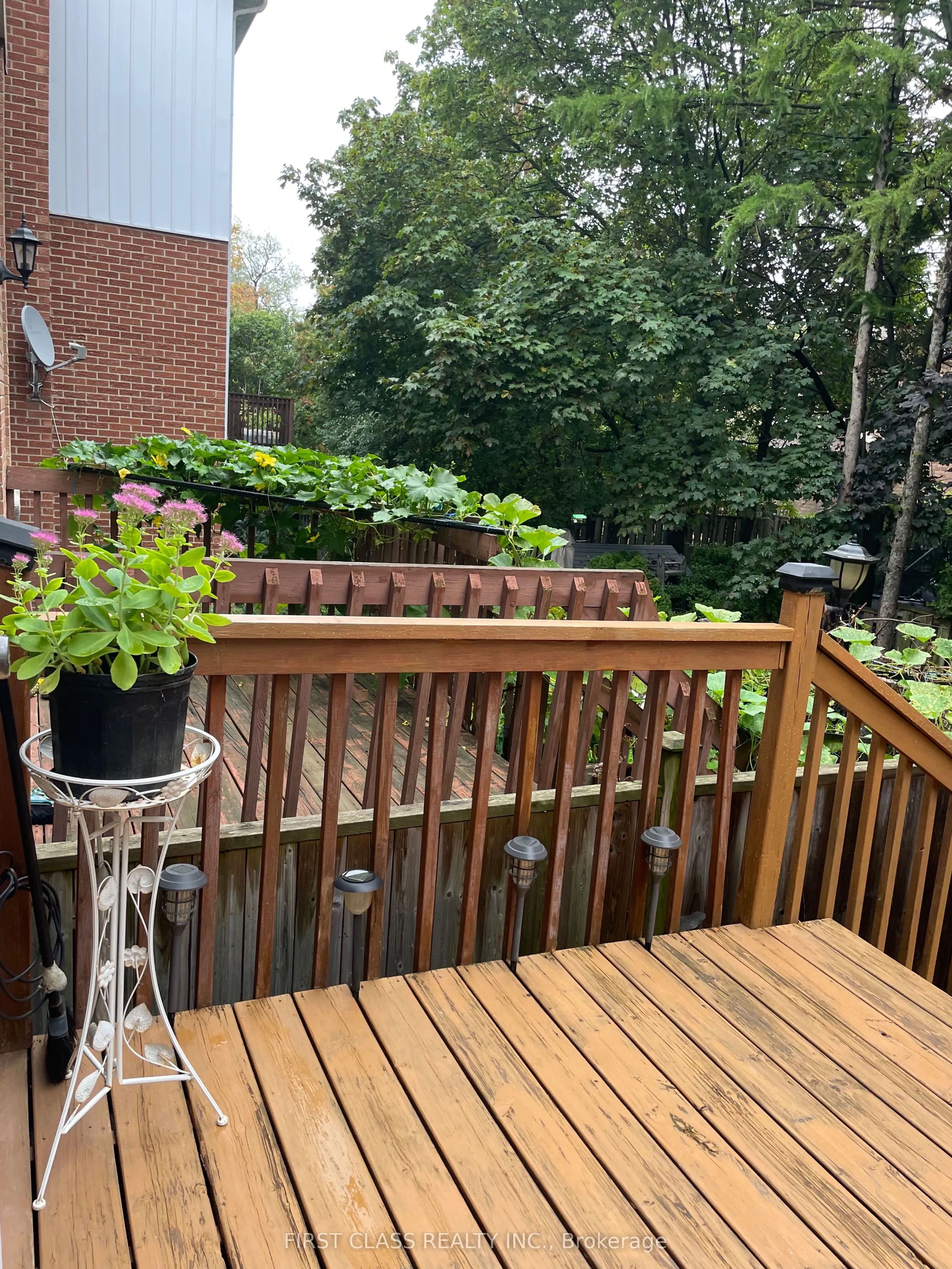 67 Carnival Court