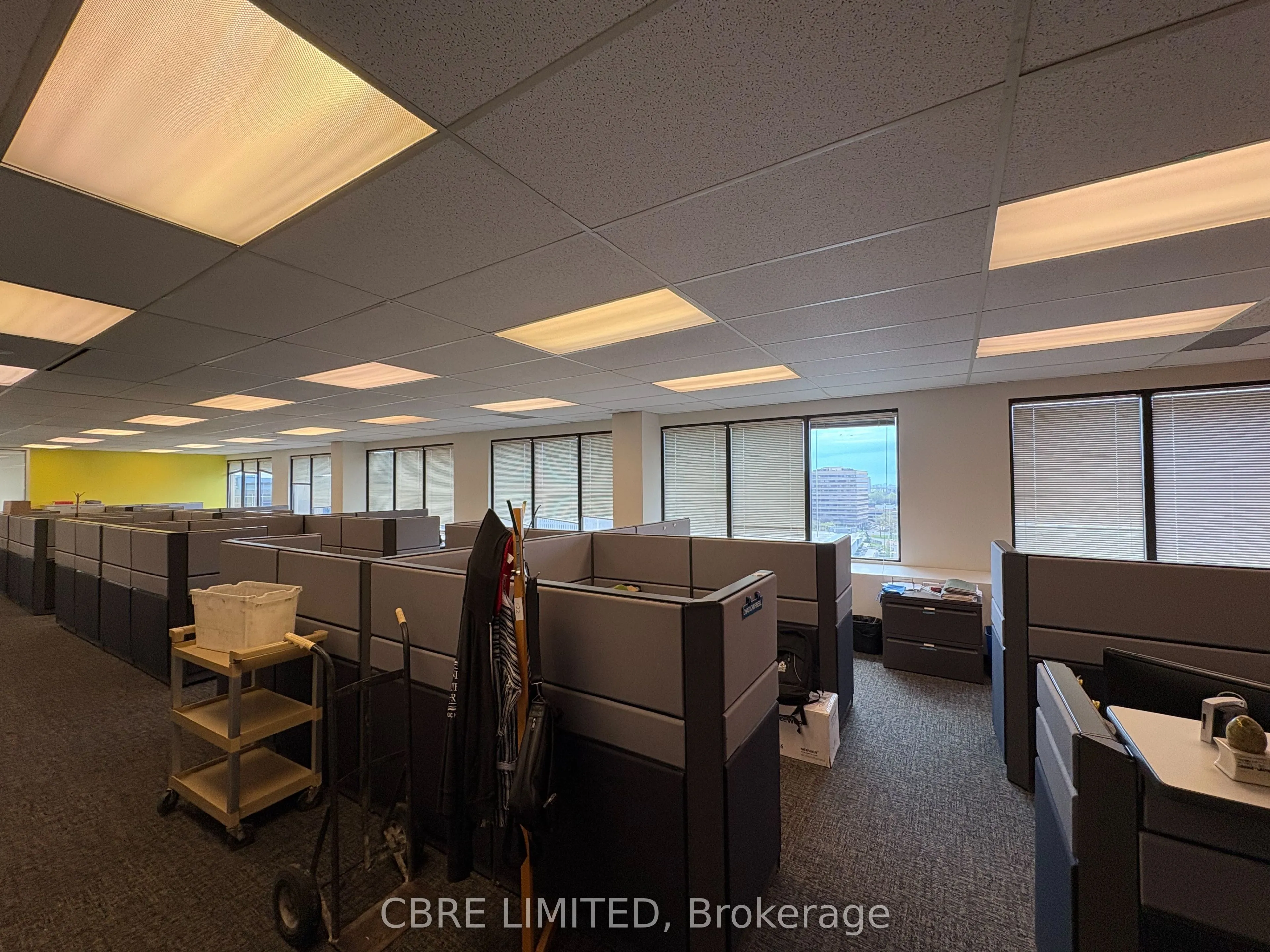 2 Lansing Square, #Unit 901